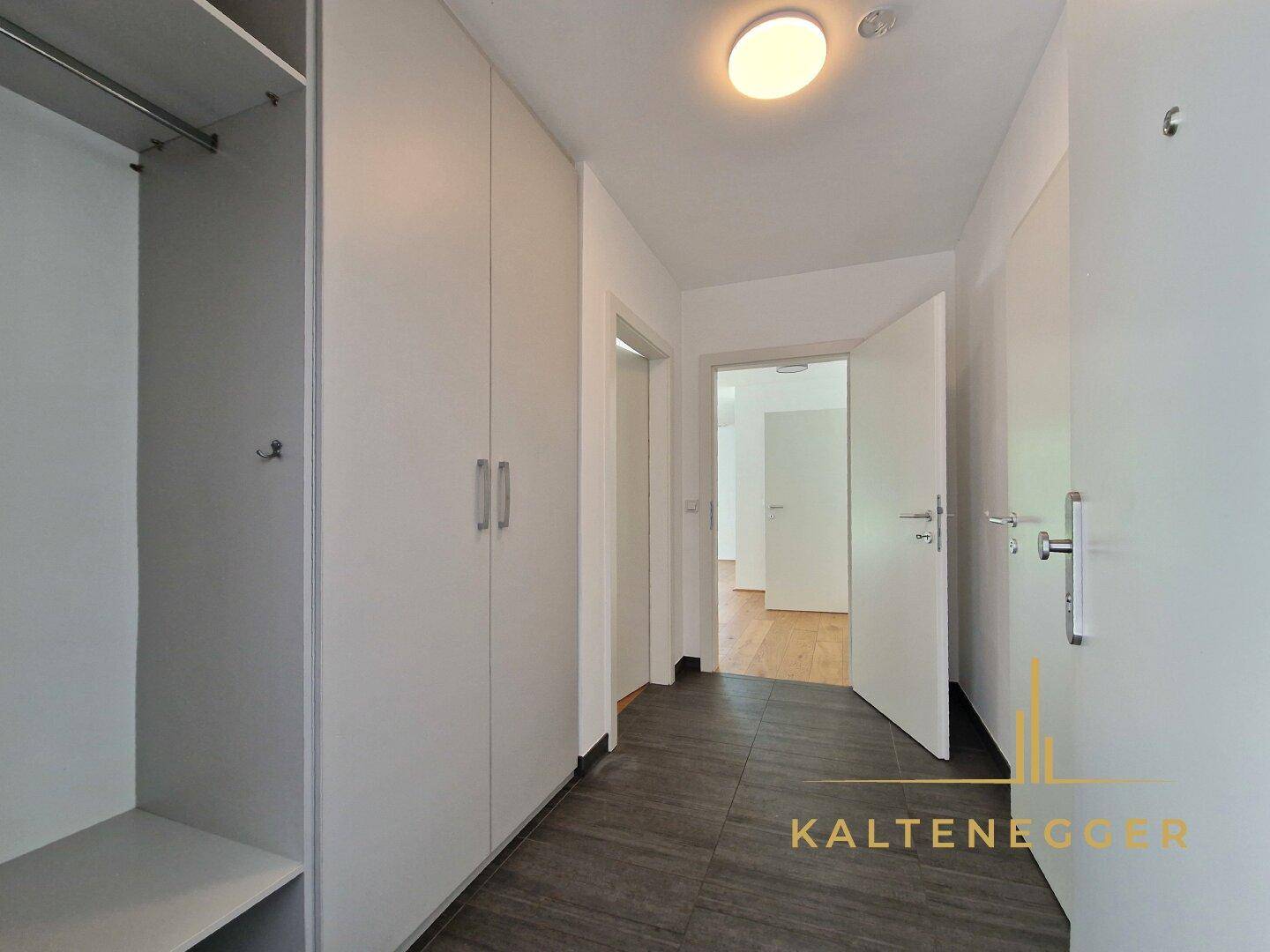 EG: Vorraum mit Blick ins Wohnzimmer