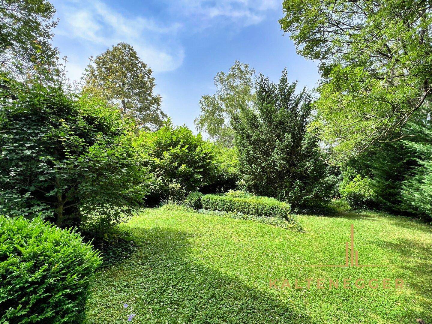 Garten mit Grünflächen und Sträuchern in der Mitte