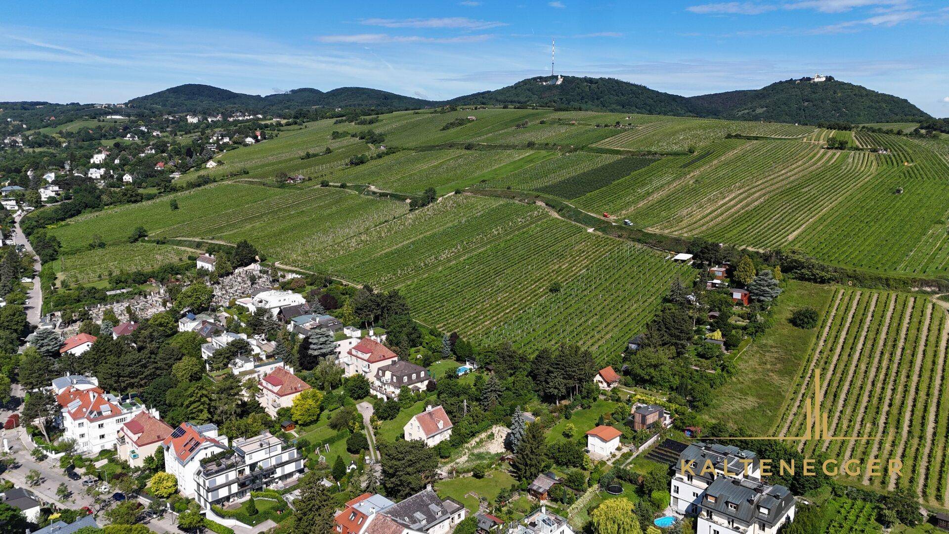 Luftaufnahme einer Wohngegend mit weitläufigen Weinbergen und grünen Hügeln im Hintergrund.