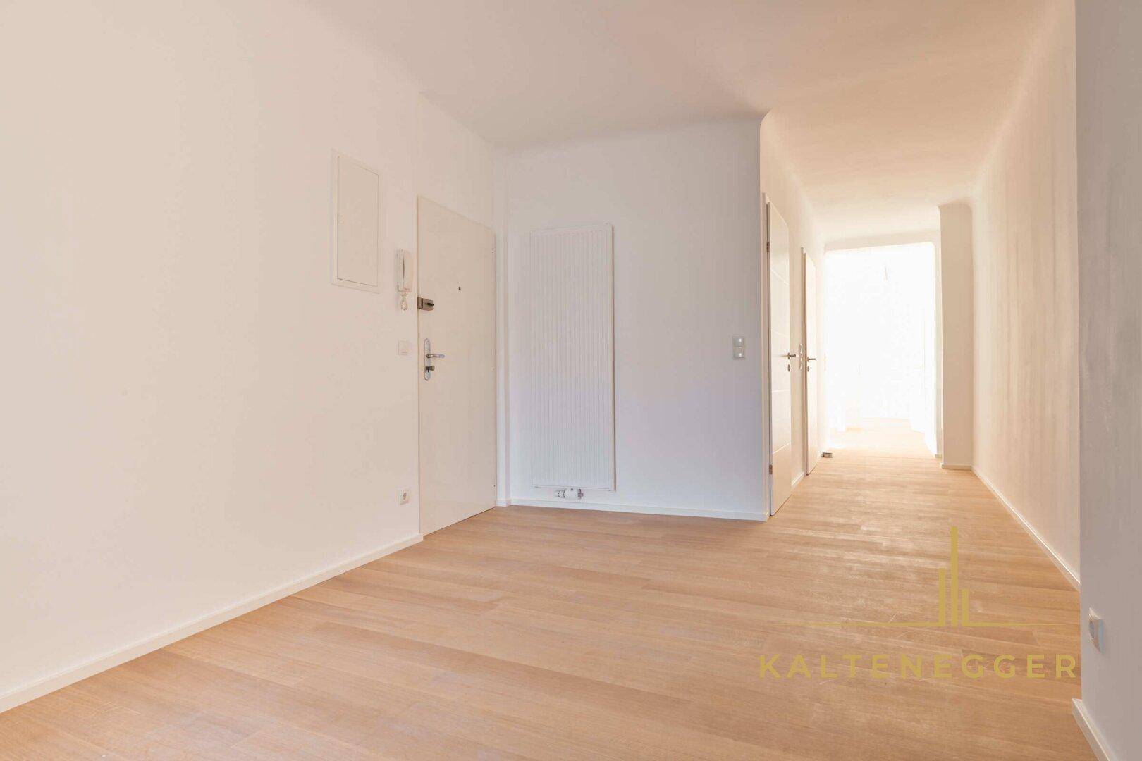 Vorraum ca. 27,17 m² - links Wohnungseingangstüre