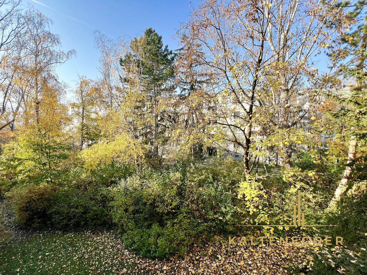 Blick aus Wohnzimmer und Schlafzimmer zur Rückseite