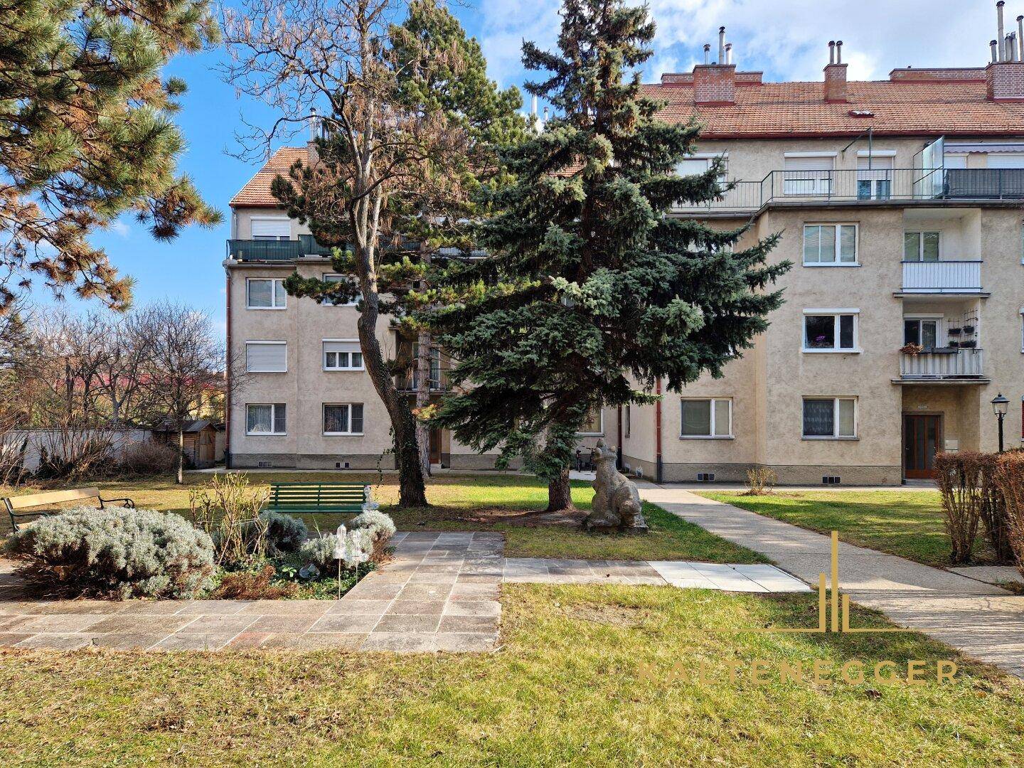 Innenhof - Wohnung hinter dem Baum im 3. Stock