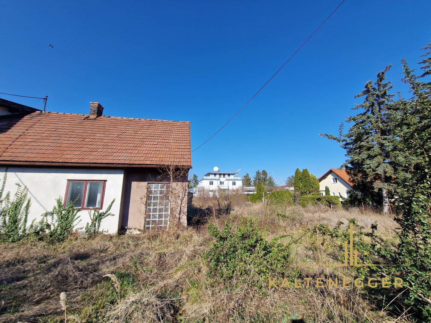 Seitenansicht eines älteren Hauses mit Ziegeldach auf einem sonnigen, verwilderten Grundstück.