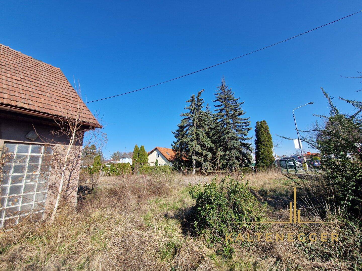 Weitläufiges, verwildertes Grundstück mit hohen Nadelbäumen und Blick auf die Umgebung.
