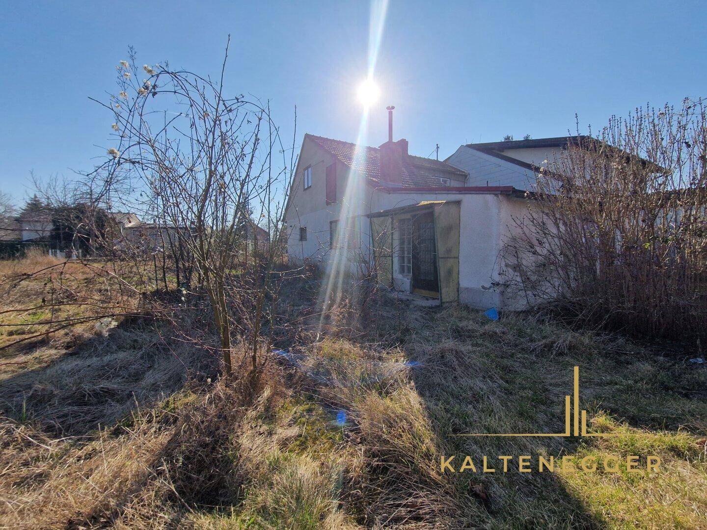 Rückansicht des älteren Gebäudes mit Anbau auf dem sonnigen, verwilderten Grundstück.