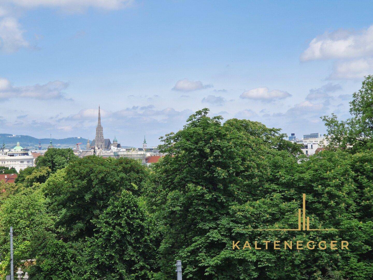 Aussicht von der Loggia aus auf den Stephansdom