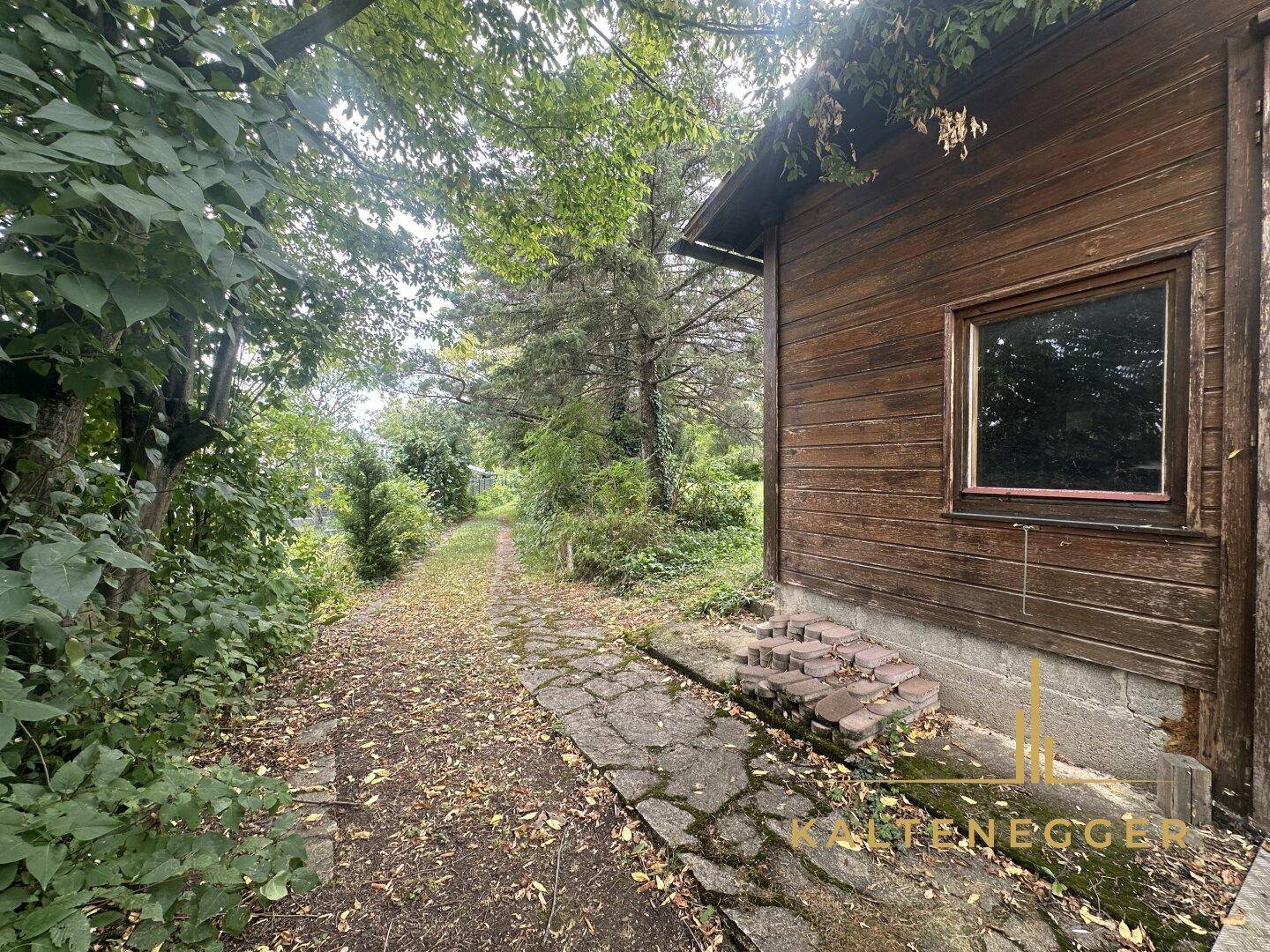 Seitenansicht des Holzhauses mit einem schmalen Pfad und üppiger Vegetation.