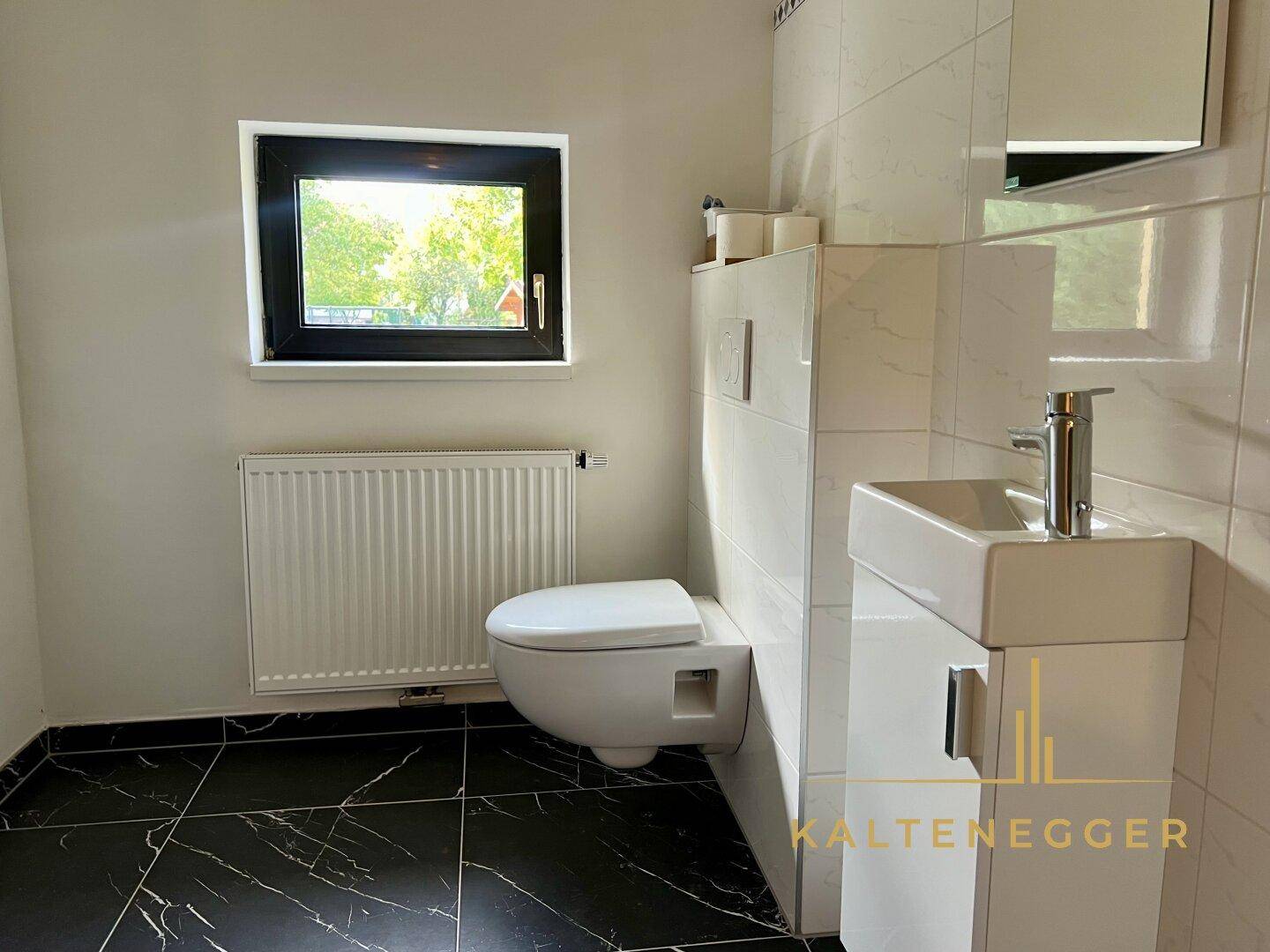 Separates Wc mit Waschbecken hinteres Gebäude