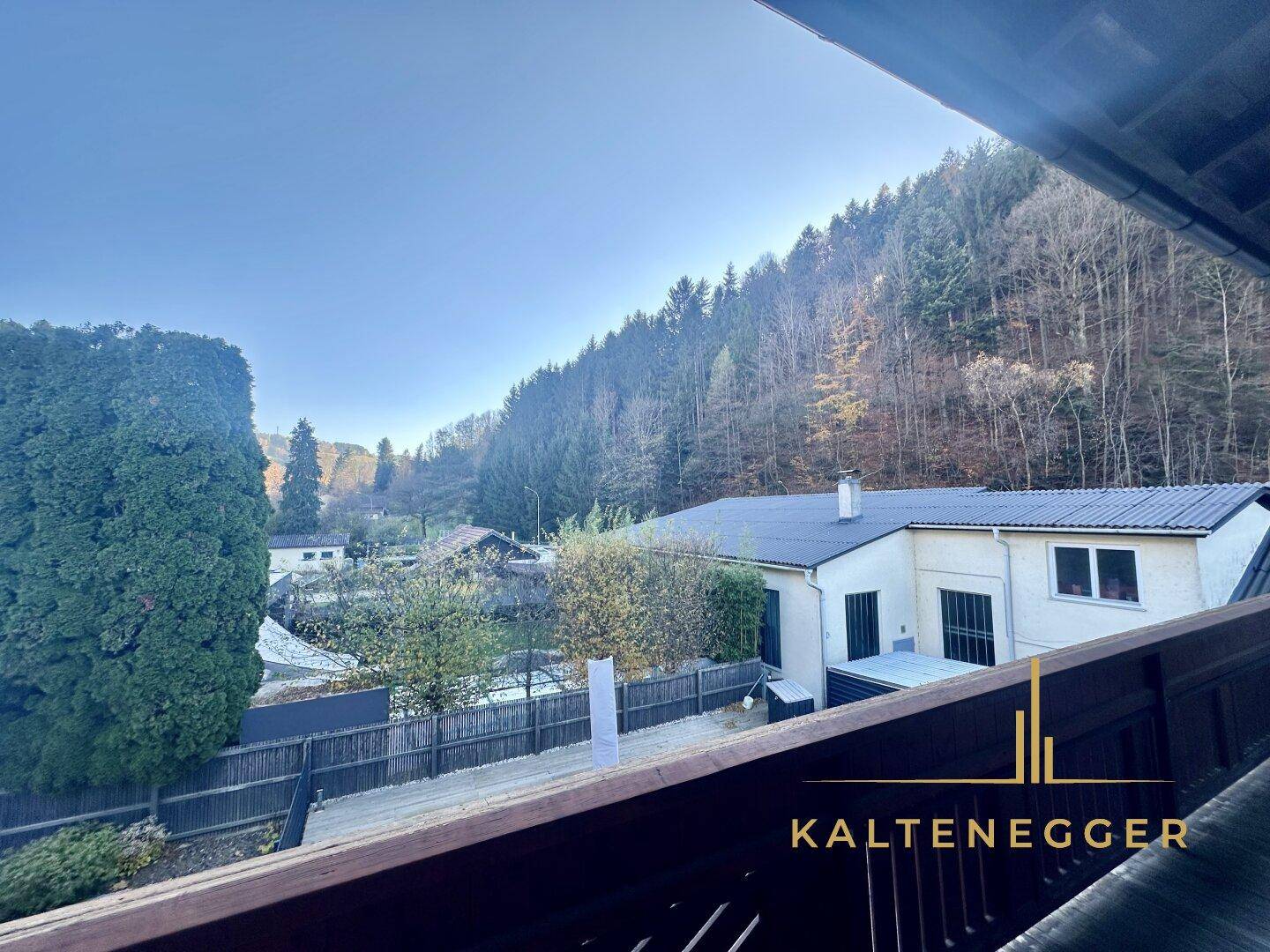 Traumhaftes Mehrfamilienhaus in Edlitz: 5 Zimmer und Pool - Ansicht 3