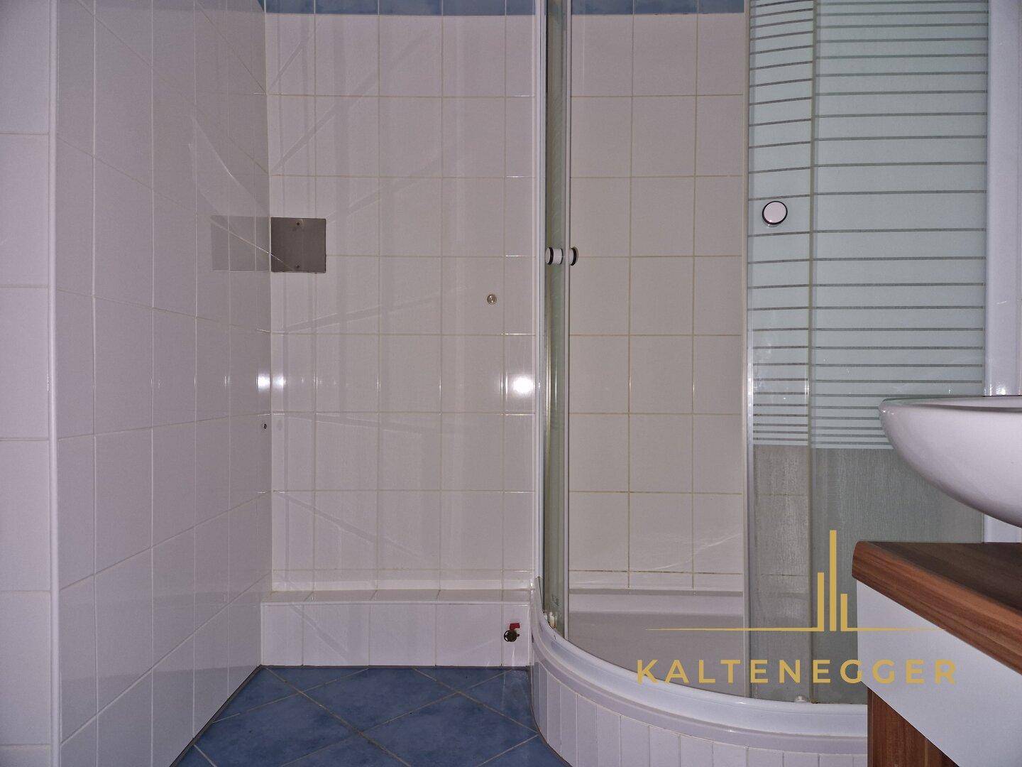 Badezimmer mit weiß gefliesten Wänden, blauen Bodenfliesen und einer Duschkabine.