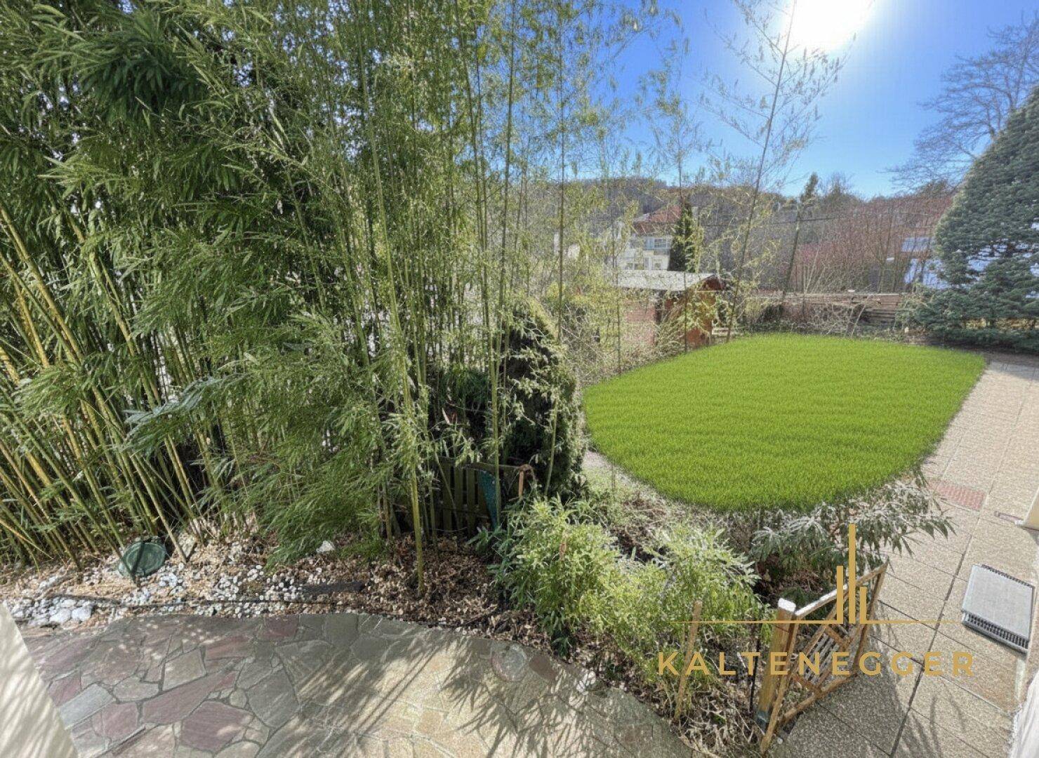 Gepflegter Gartenbereich mit Rasenfläche und hohen Bambuspflanzen.