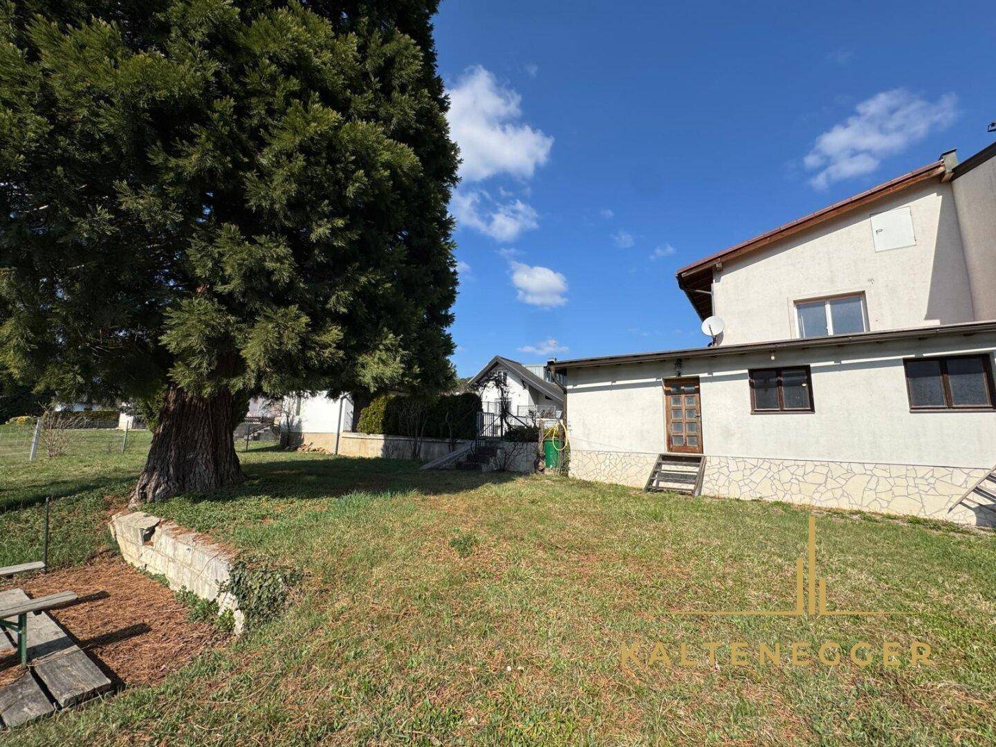 Großer Gartenbereich mit altem Baum und Rasenfläche hinter dem Haus.
