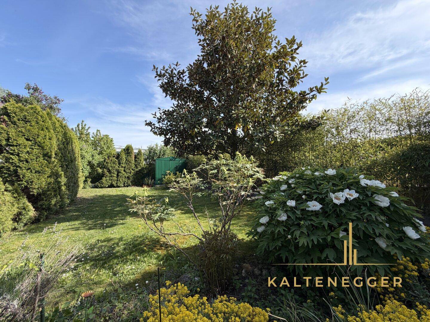 Sonniger Garten mit blühenden Sträuchern, Rasenfläche und hohen Bäumen im Hintergrund.