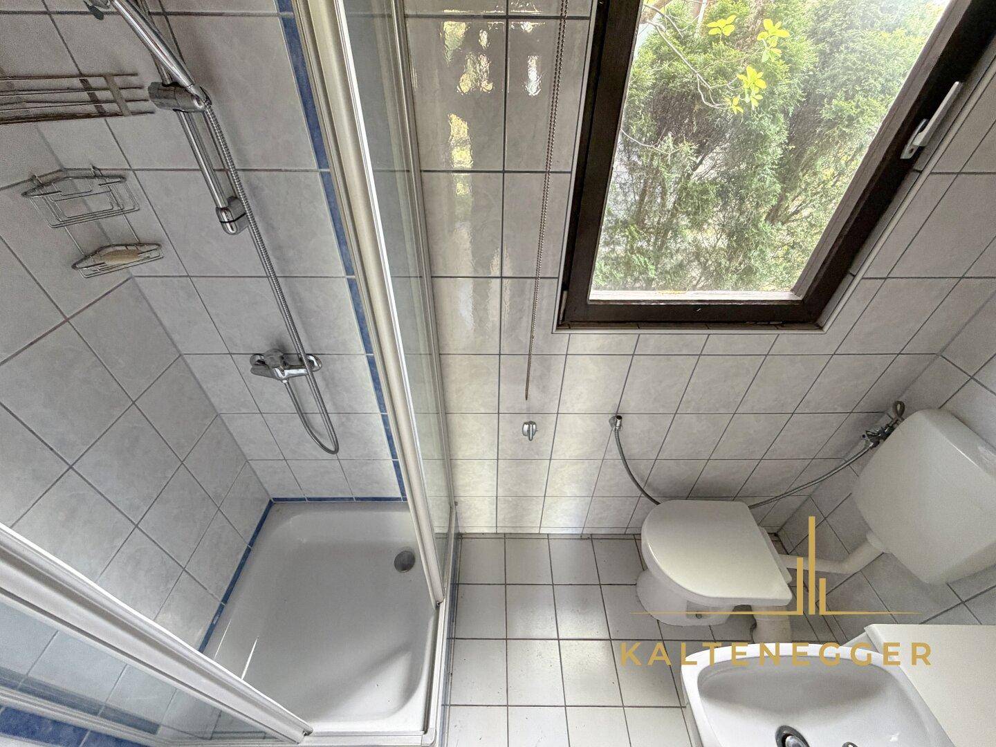 Kleines Badezimmer mit Dusche, WC, Waschbecken und Dachfenster für natürliches Licht.