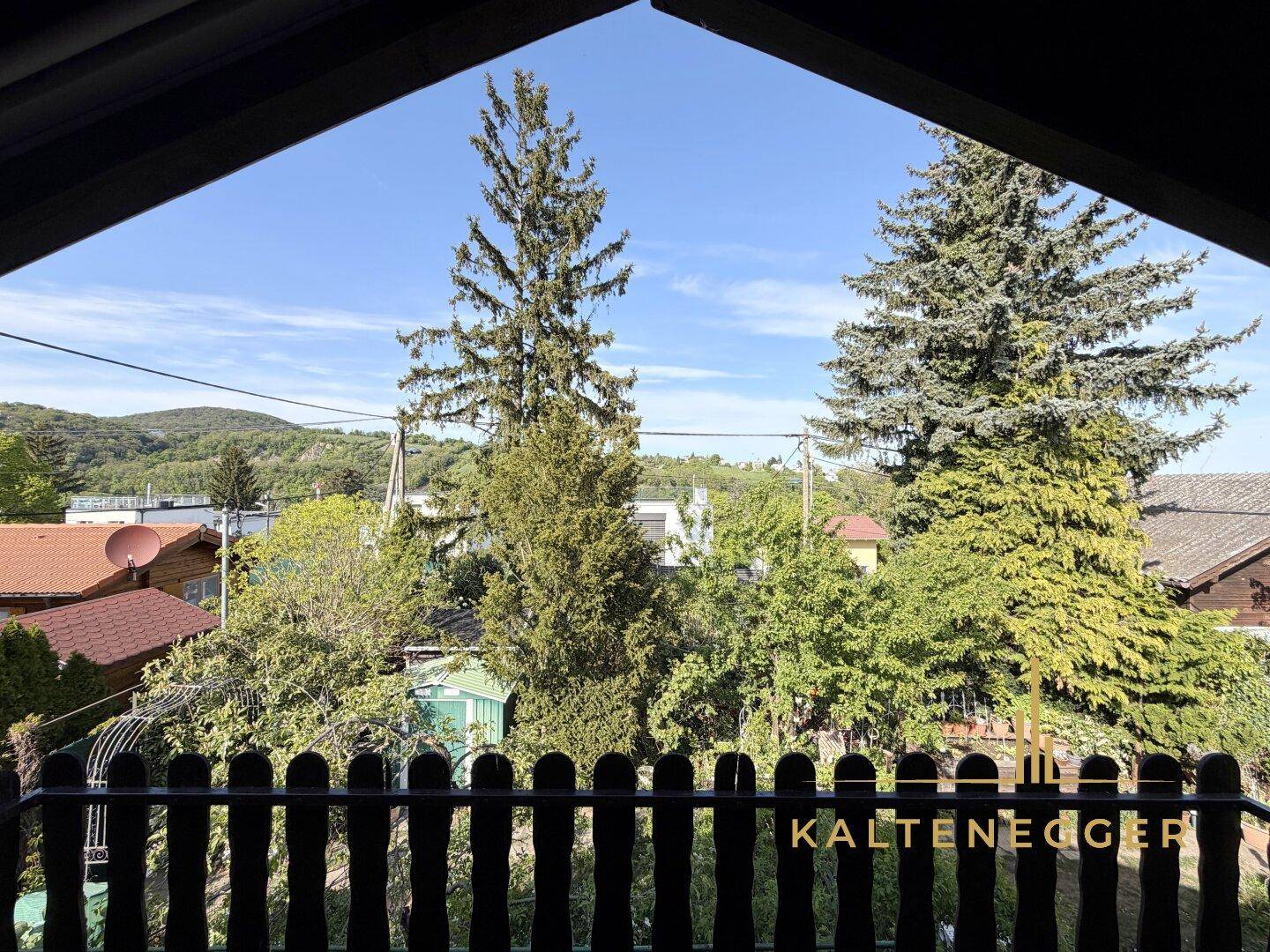 Weitblick vom Balkon über die grüne Landschaft mit Bäumen und Häusern unter blauem Himmel.