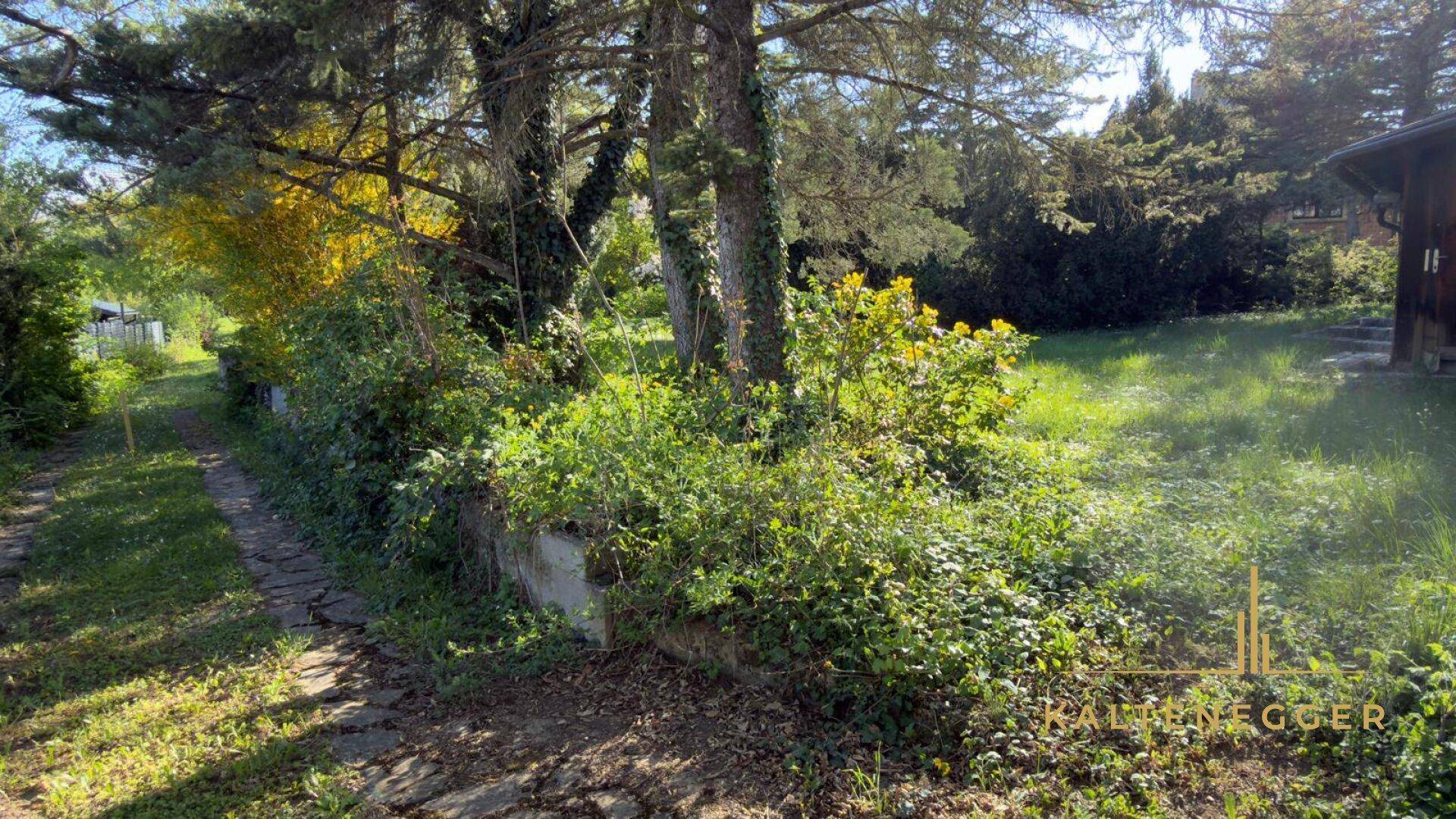 Weitläufiger Garten mit altem Baumbestand und einem Holzgebäude im Hintergrund bei Sonnenschein.