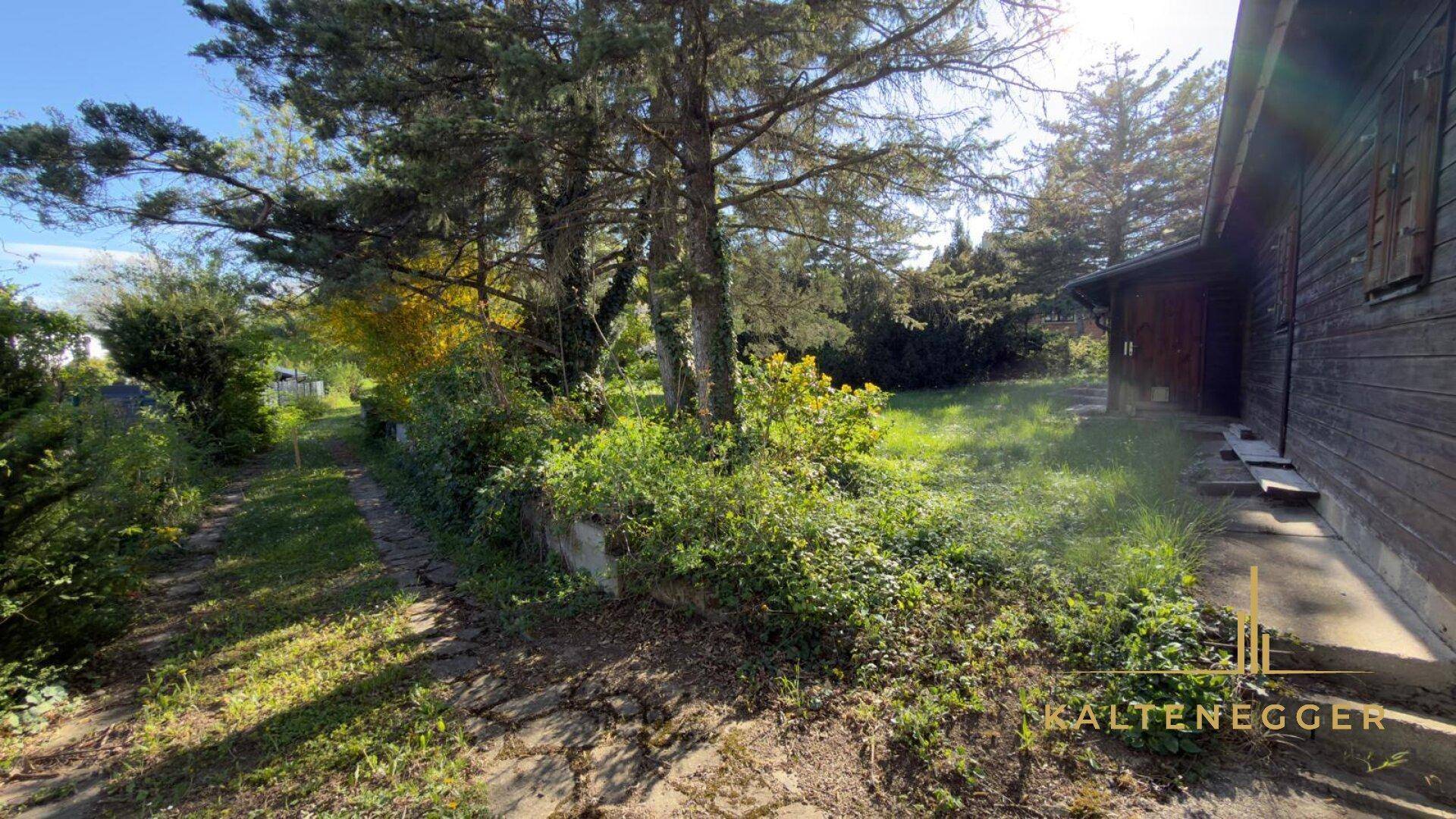 Weitläufiger Garten mit altem Baumbestand und einem Holzgebäude im Hintergrund bei Sonnenschein.