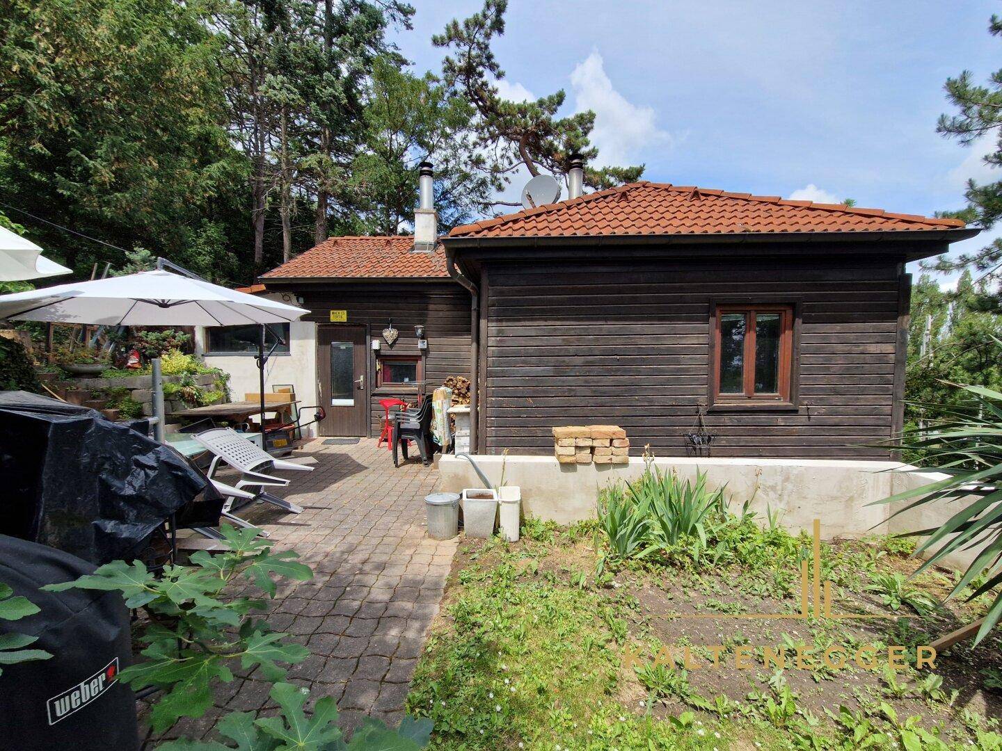 Großer gepflasterter Außenbereich mit Sonnenschirm und Gartenmöbeln vor dem Holzhaus.