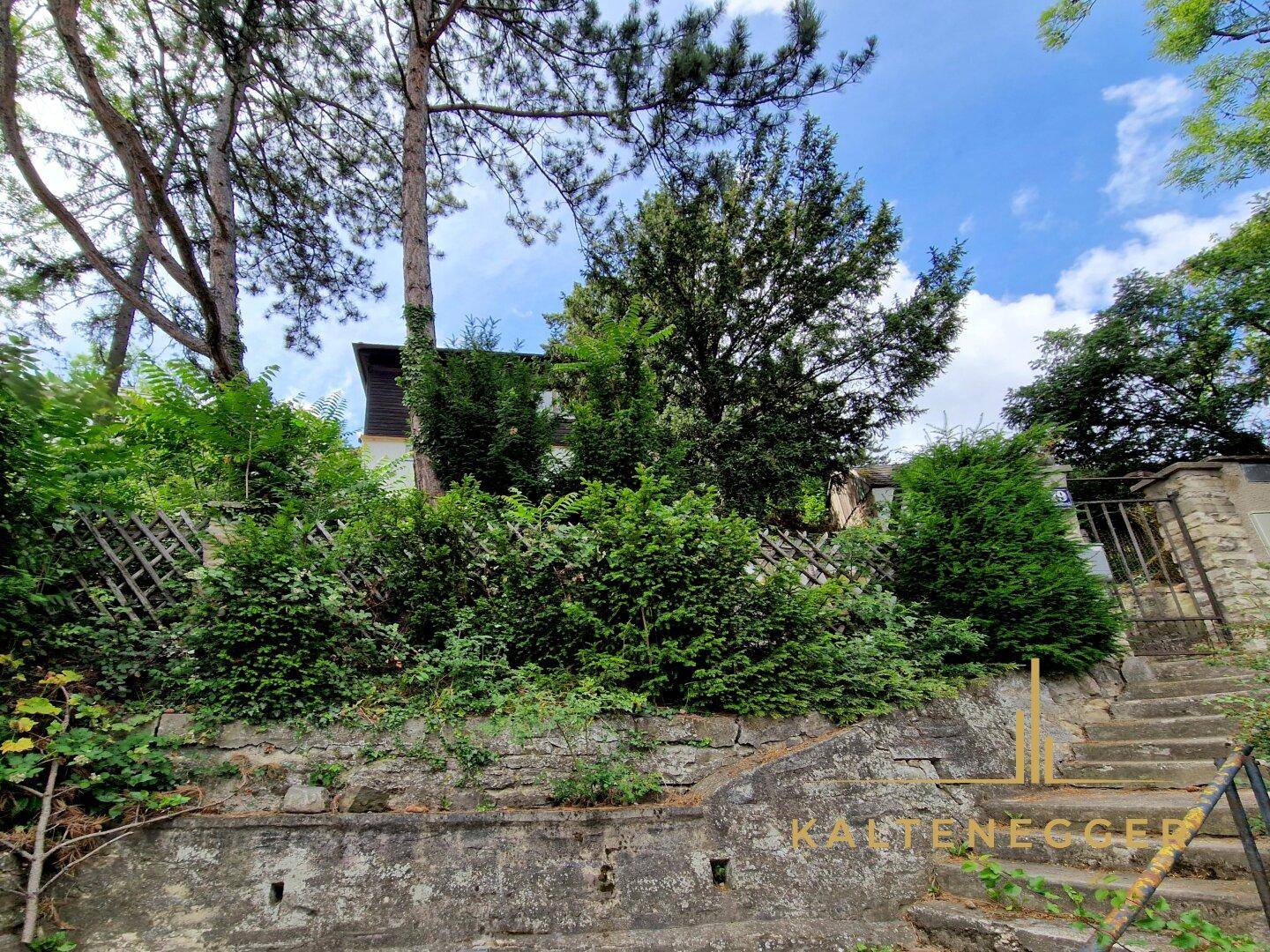 Außenansicht des Hauses mit Treppen und üppiger Vegetation.