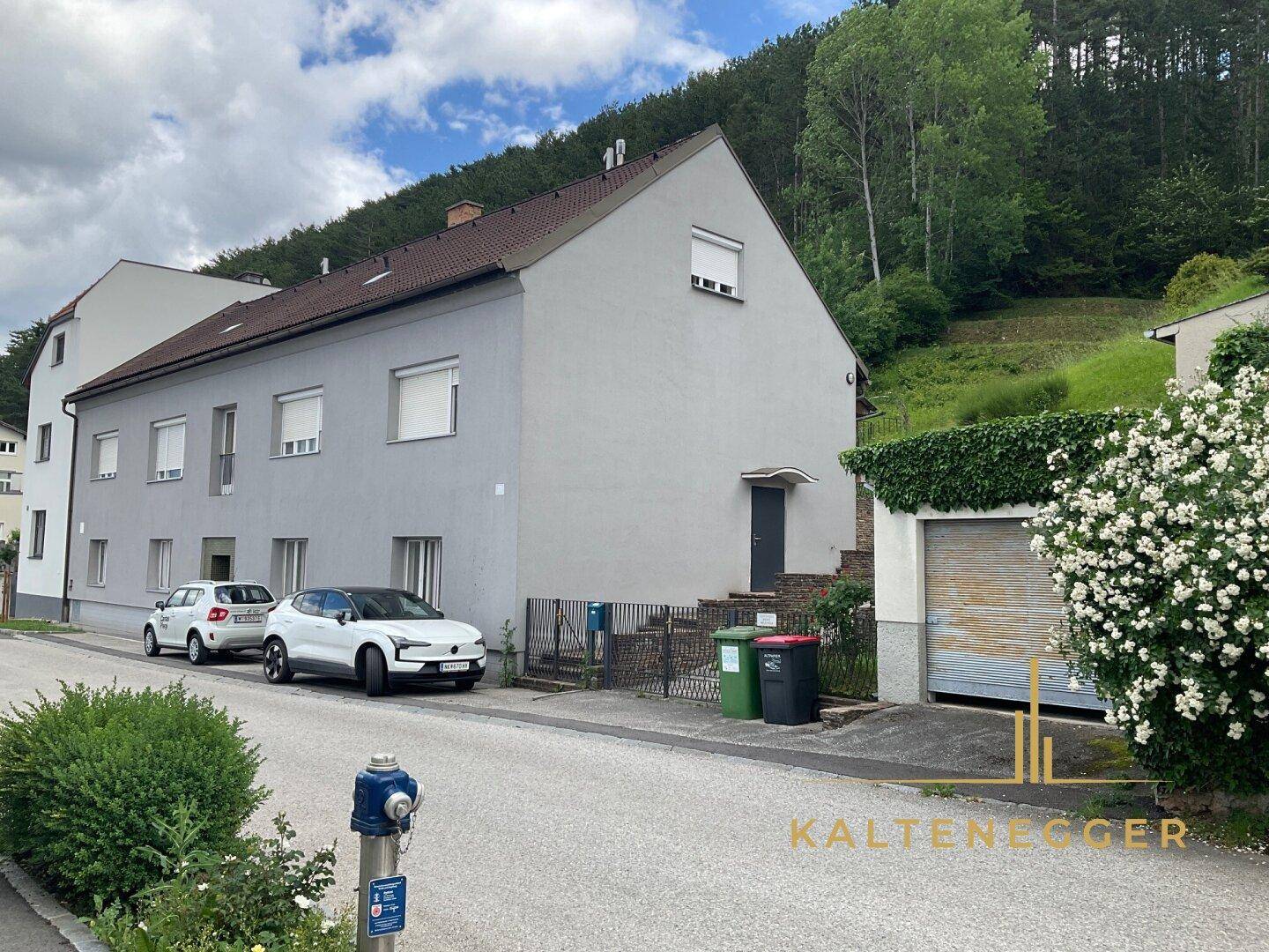 Ansicht eines Mehrfamilienhauses von der Straße mit parkenden Autos und Garagenzufahrt.