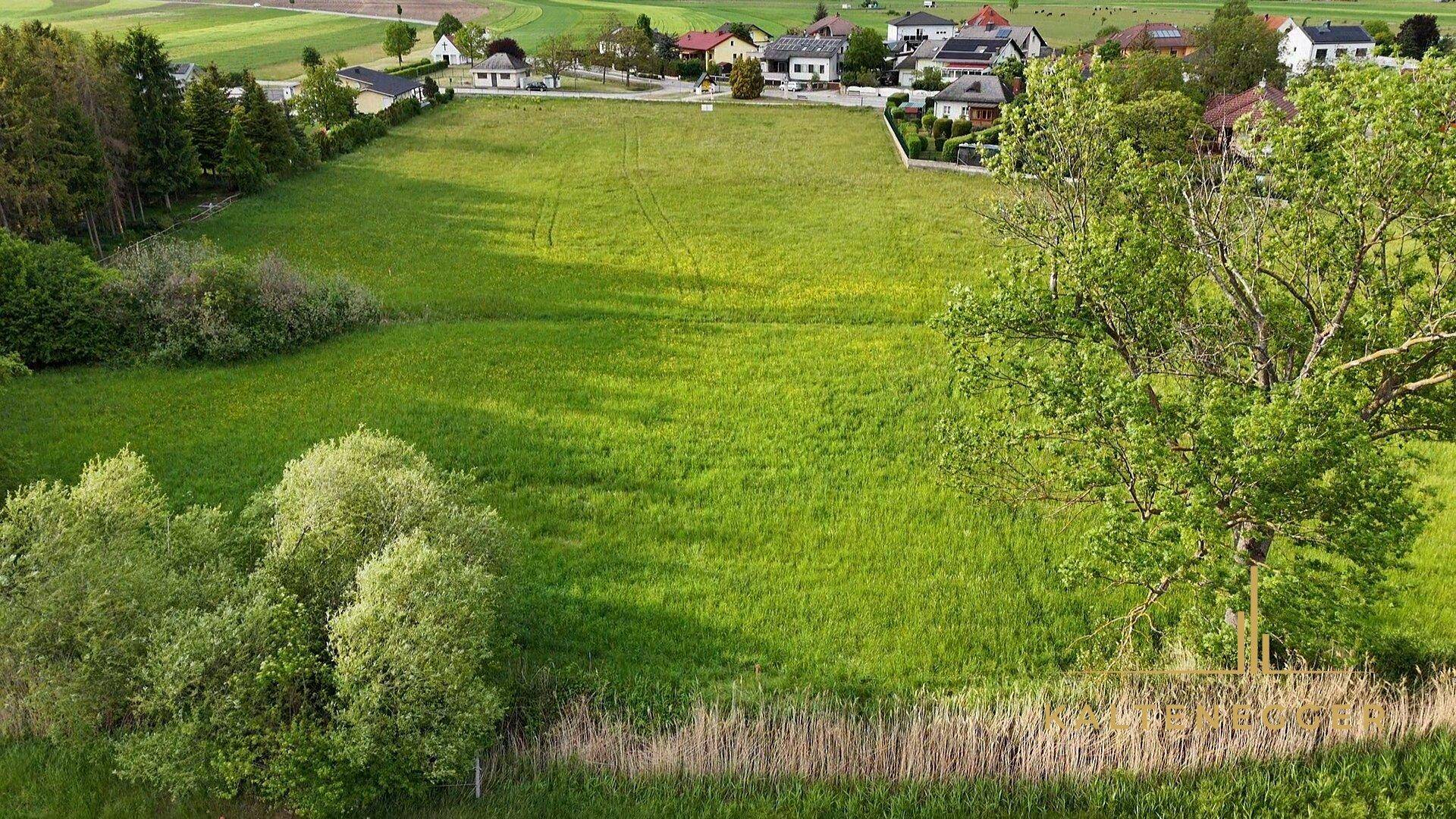 Luftaufnahme eines großen grünen Feldes, umgeben von Bäumen und Wohnhäusern in der Ferne.