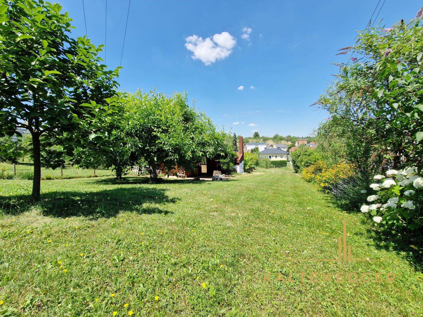 Großer, gepflegter Garten mit Rasenfläche und Bäumen, bietet viel Platz im Freien.