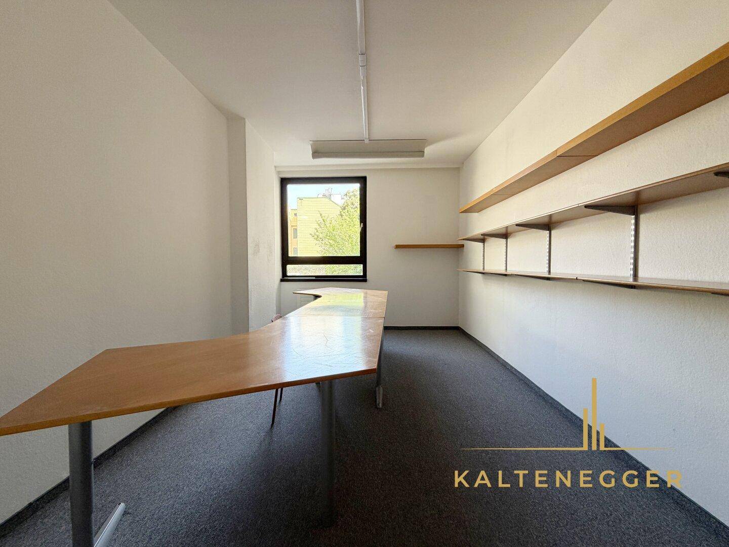 Langes Büro mit dunklem Teppichboden, einem Fenster und einer geschwungenen Holzschreibtischplatte.