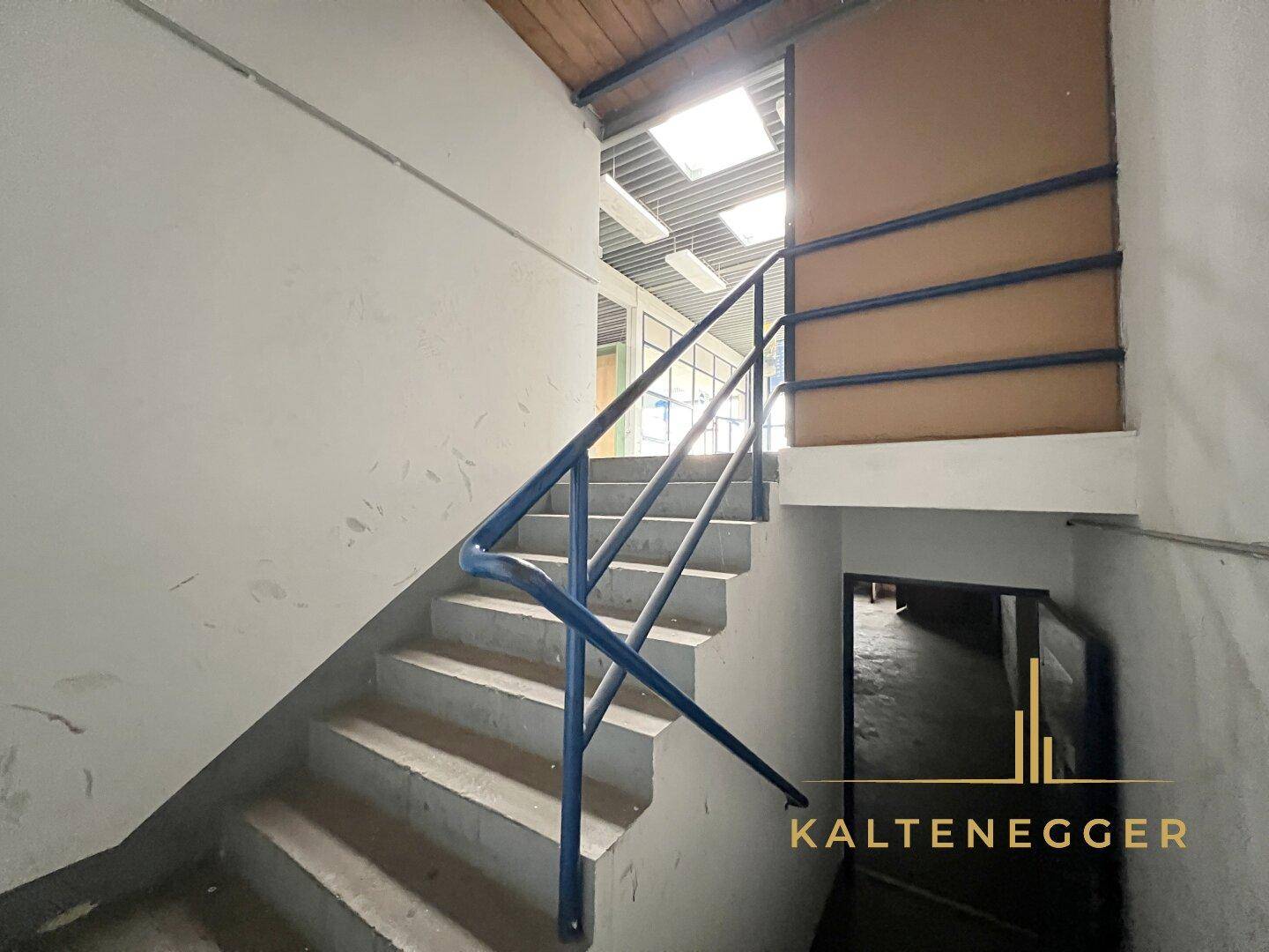Treppenhaus mit Betonstufen und blauem Geländer, führt zu den oberen Gewerbeflächen.