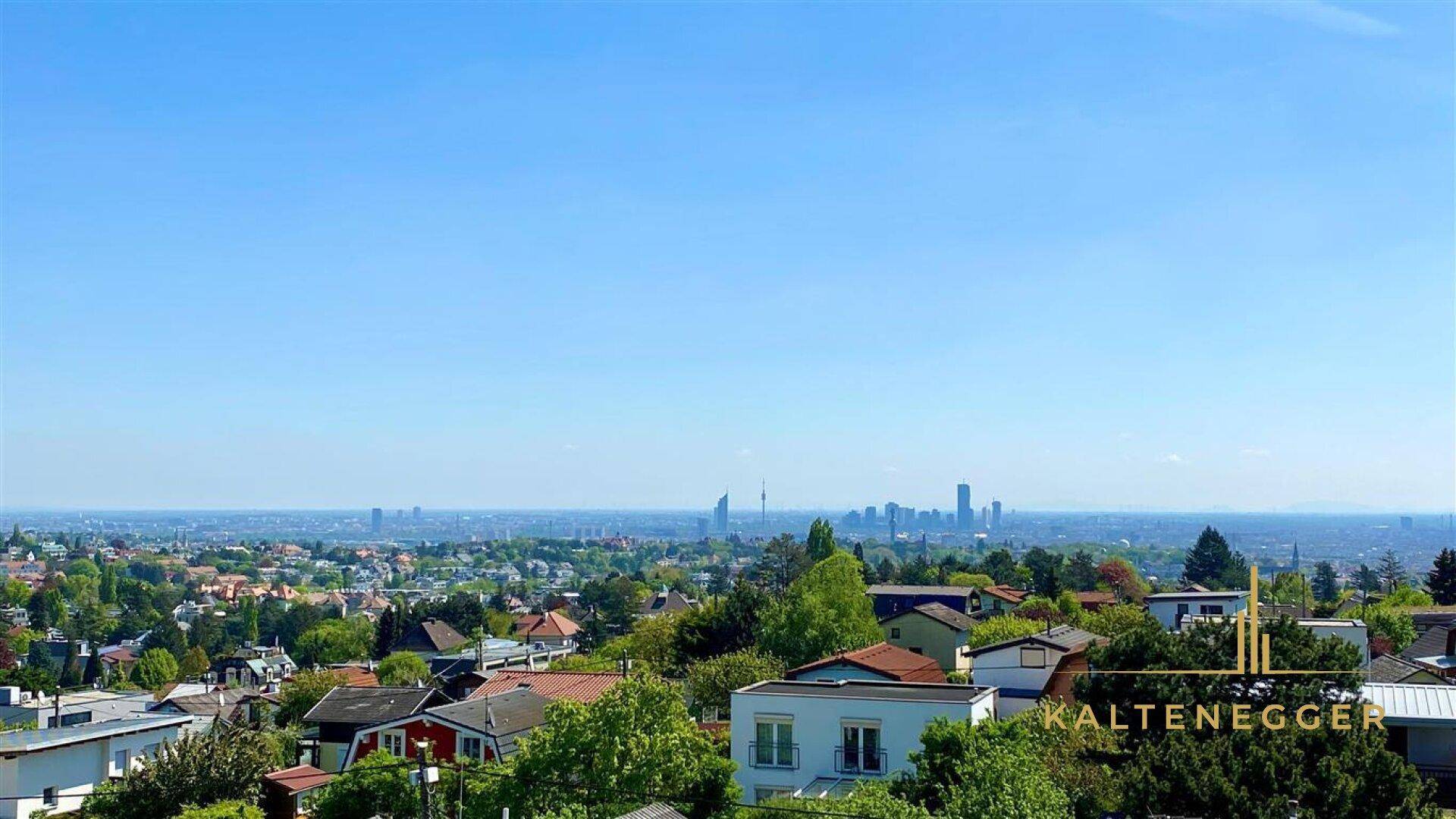 Weitläufiger Panoramablick über ein Wohngebiet mit klarer Sicht auf die Stadtsilhouette.