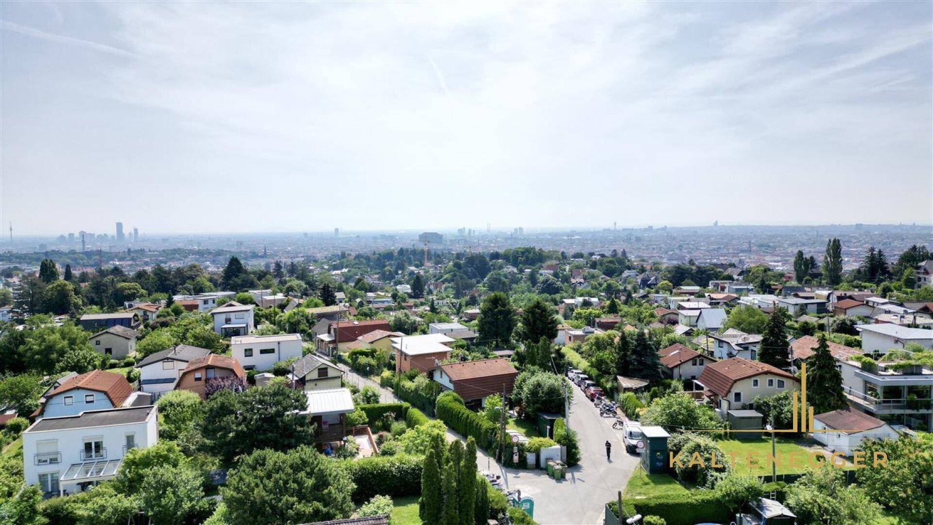 Luftaufnahme einer ruhigen Wohnstraße, umgeben von viel Grün und mit Stadtblick in der Ferne.