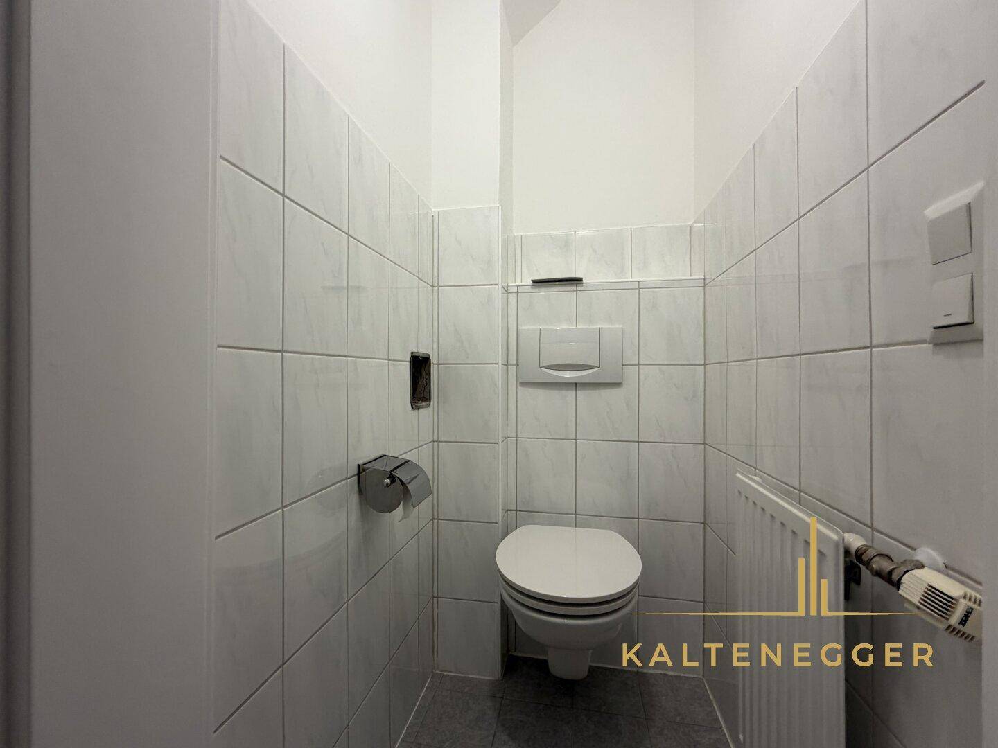 Modern geflieste Gästetoilette mit wandhängendem WC und Heizkörper.