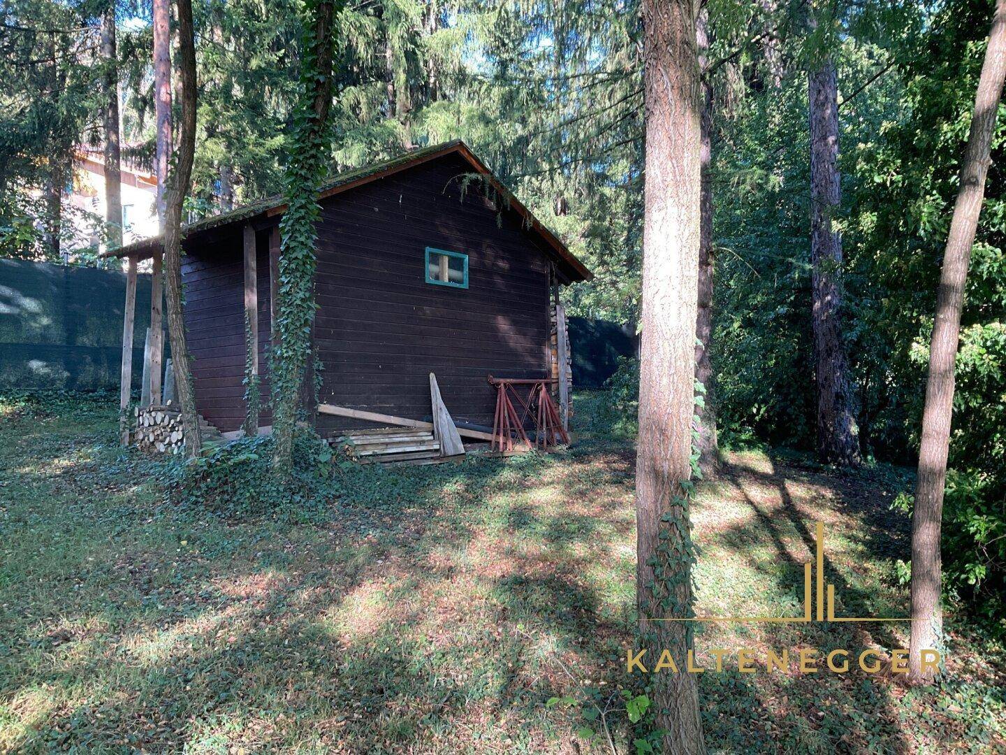 Rustikales Holzhaus oder Geräteschuppen, umgeben von Bäumen in einem bewaldeten Gartenbereich.