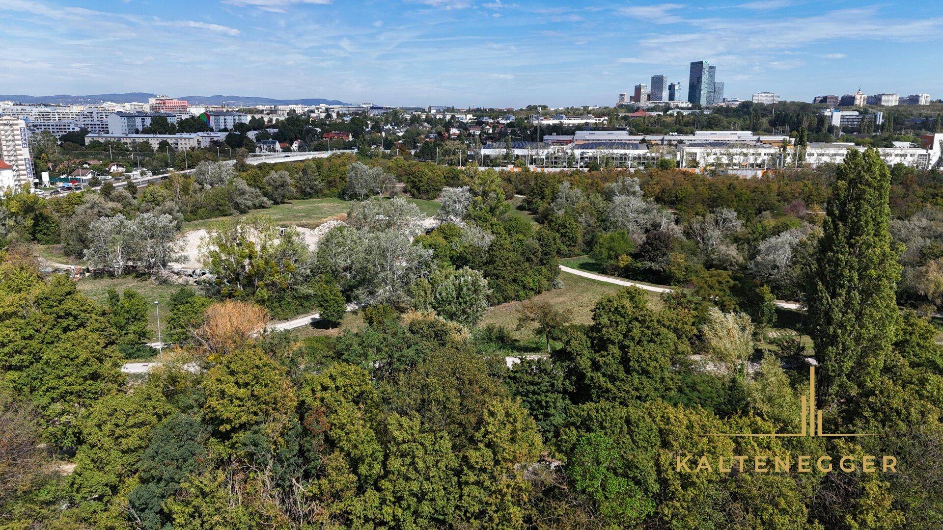 Weitläufige Grünfläche mit Bäumen und Blick auf die Stadt im Hintergrund.