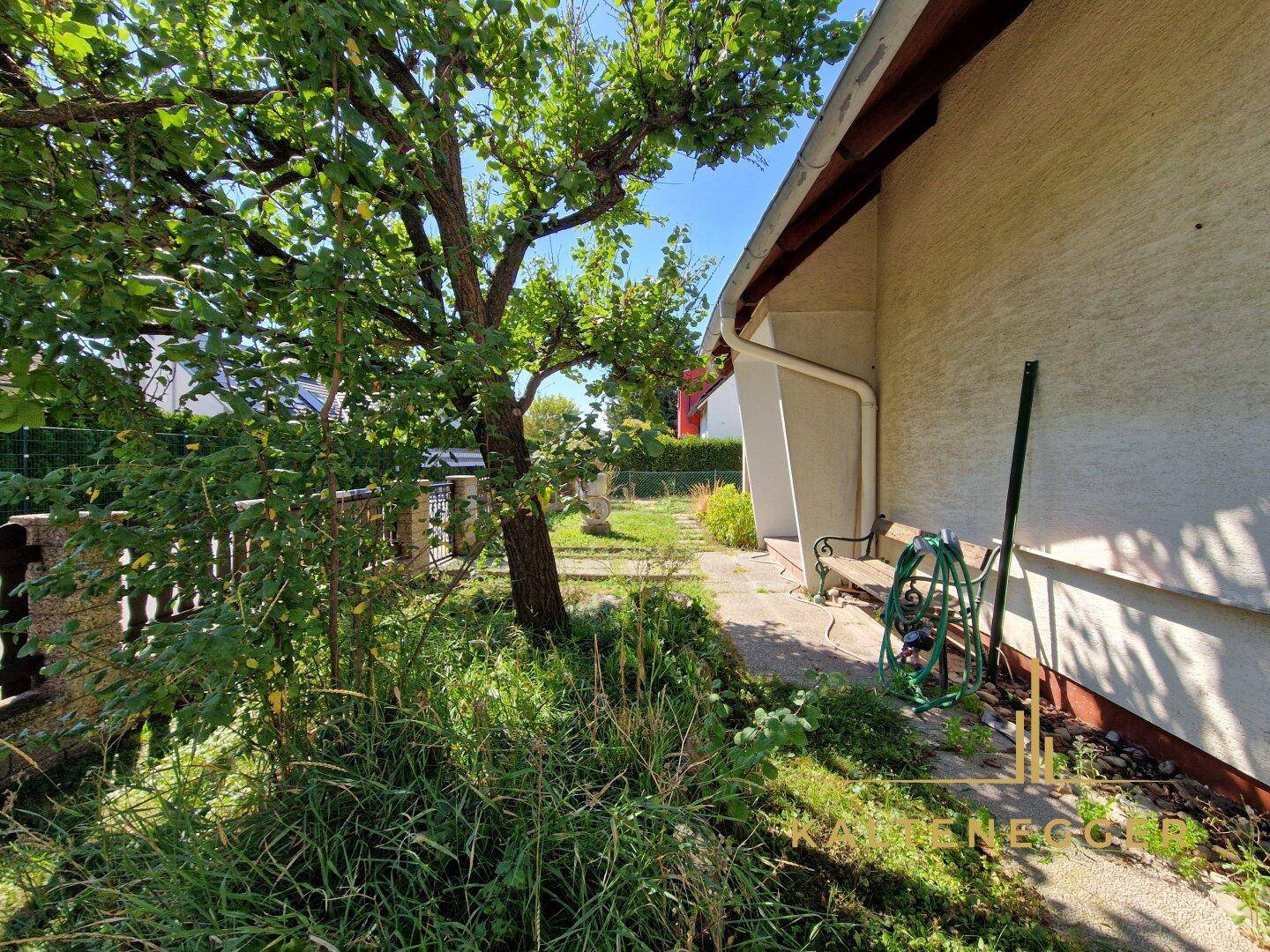 Schmaler Gartenweg entlang der Hausseite mit üppigem Grün und einem Baum.