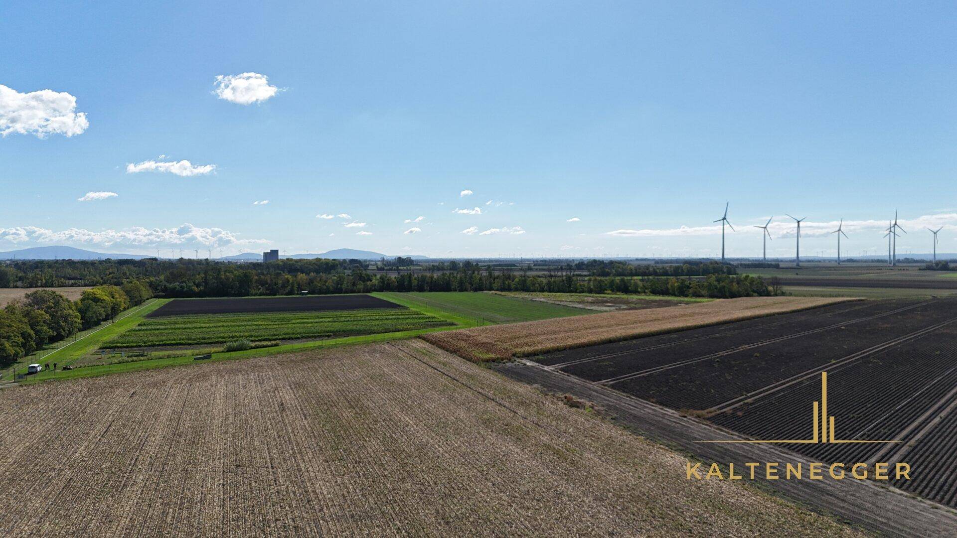 Weitläufige Felder unter blauem Himmel mit Windrädern in der Ferne, die eine ländliche Aussicht bieten.