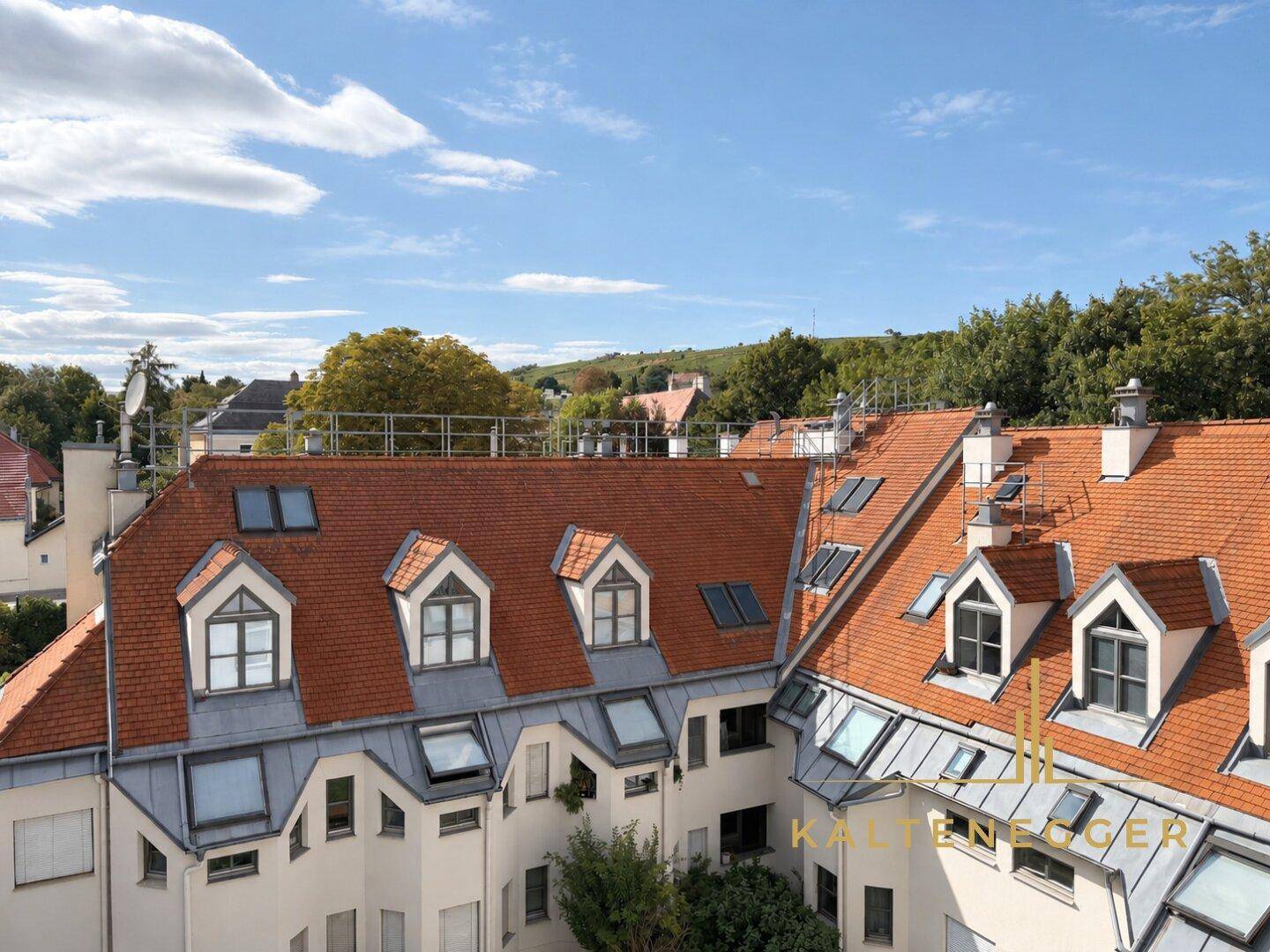Blick über die Dächer der Stadt mit roten Ziegeln und grünen Hügeln im Hintergrund.