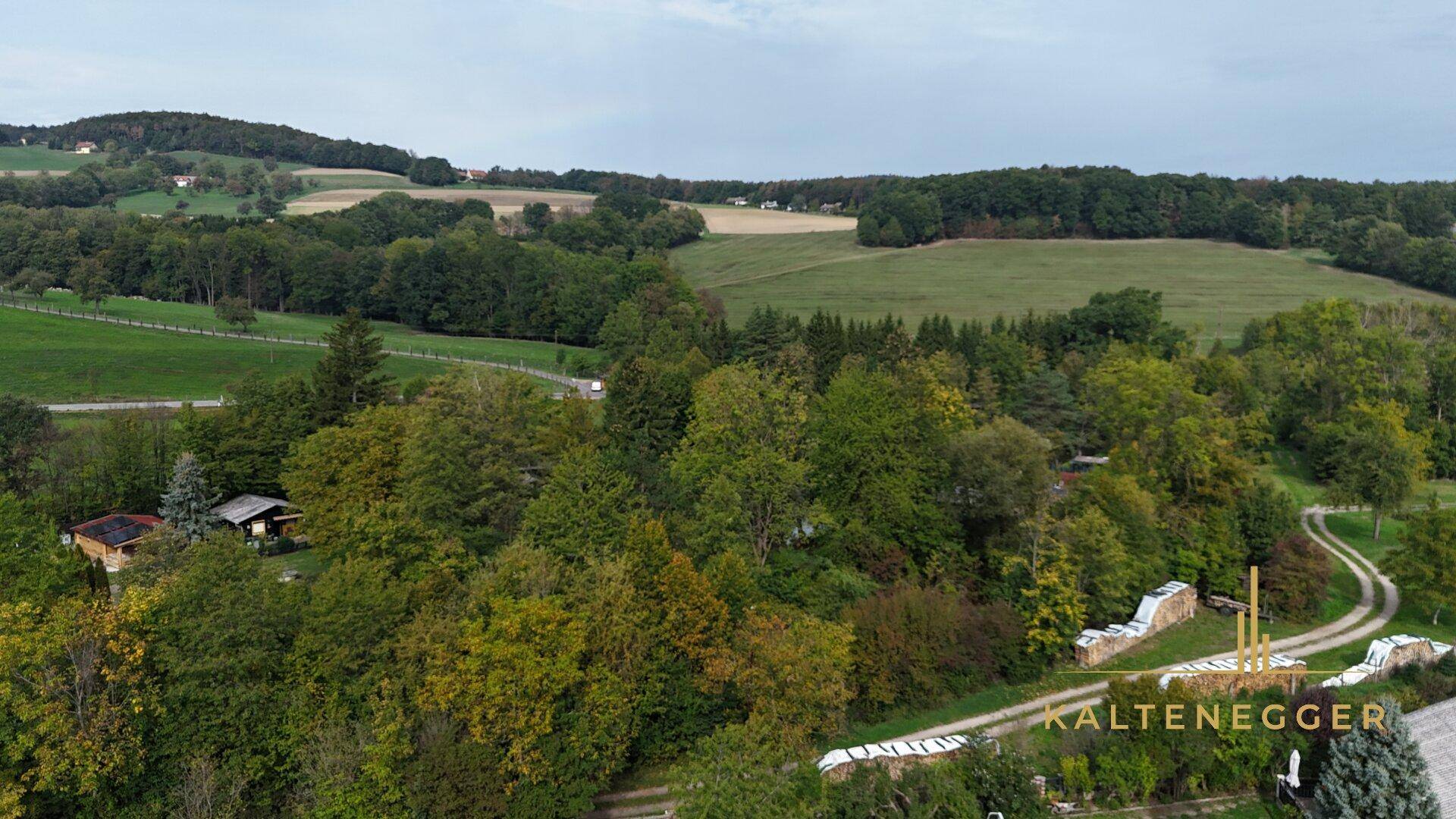 Weitläufige Landschaftsaufnahme mit grünen Hügeln, Wäldern und vereinzelten Häusern in der Ferne.