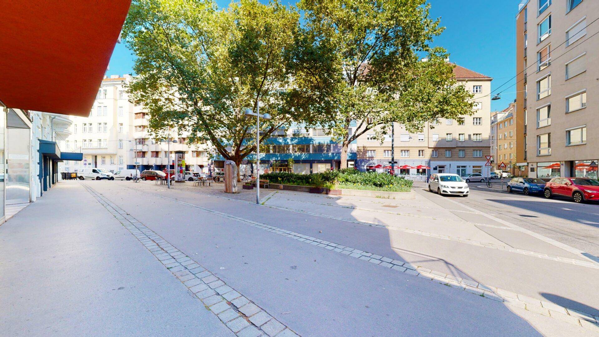 Öffentlicher Platz mit großen Bäumen und umliegenden Gebäuden in der Stadt.