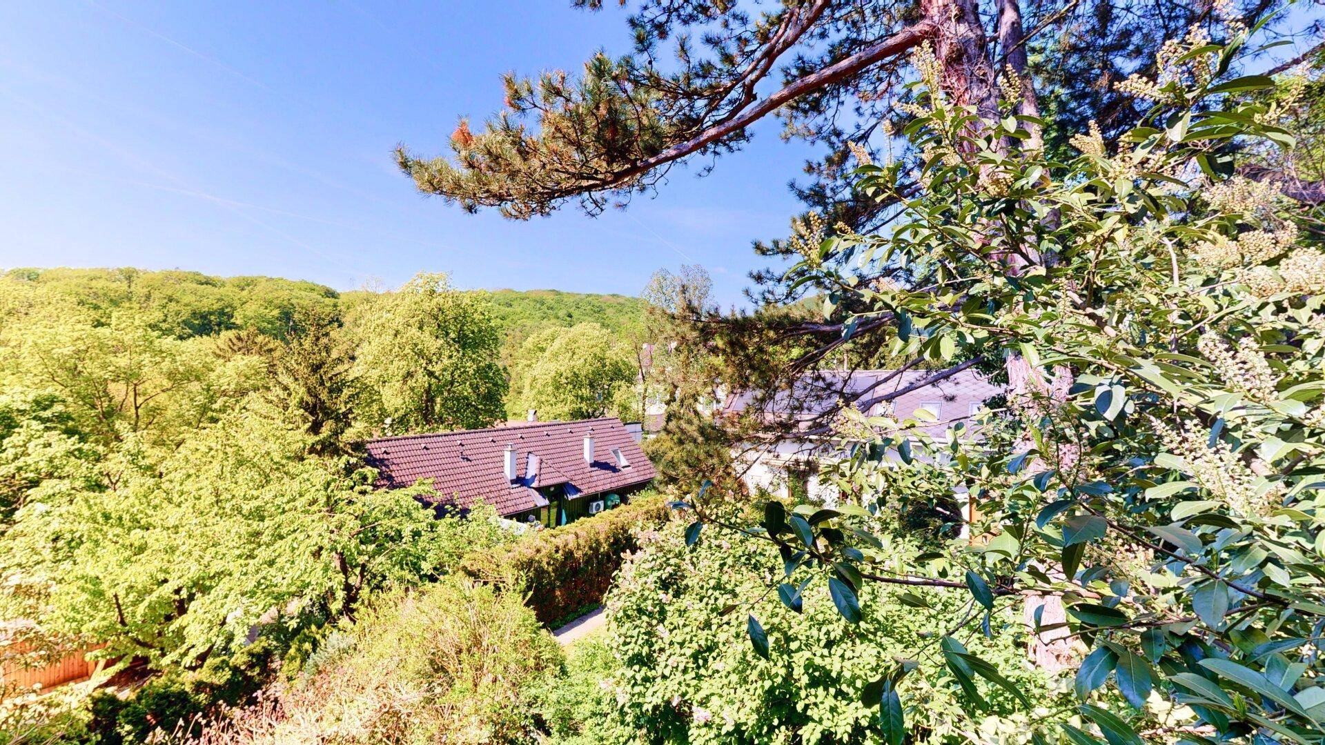 Ausblick ins Grüne