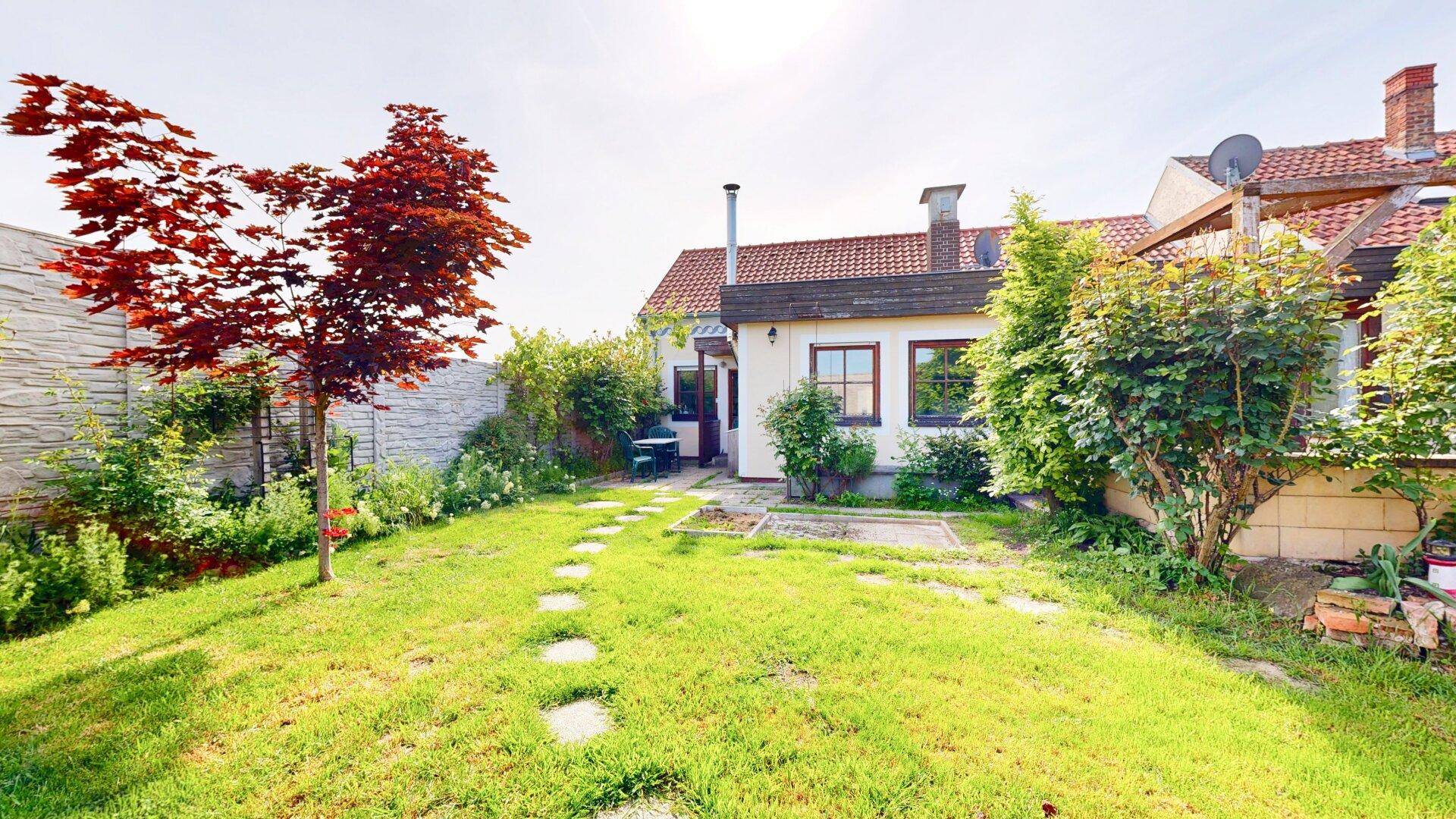 Garten/Hausansicht Rückseite