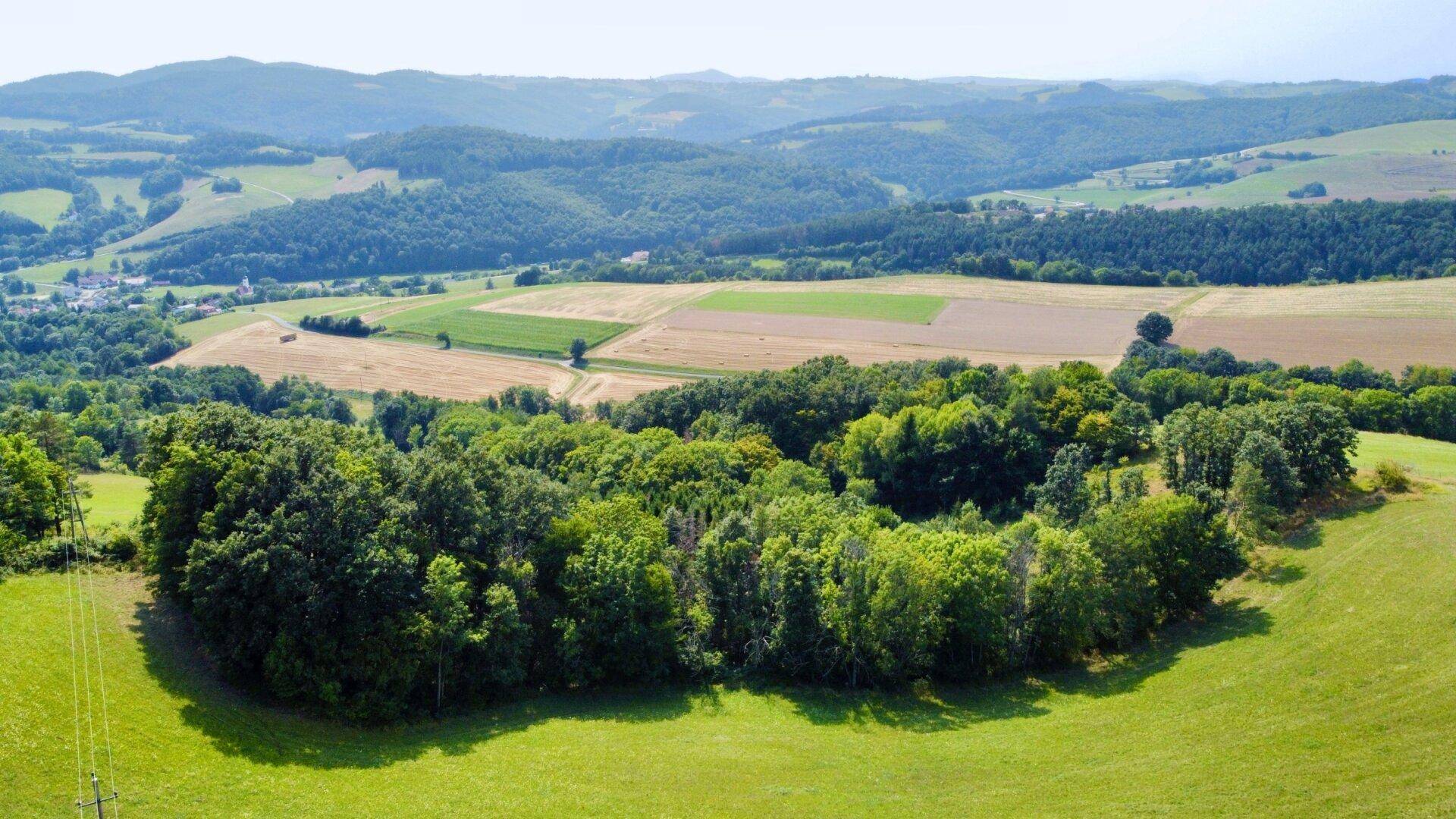 Grundstück