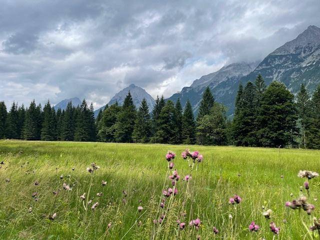 Landschaft Leutasch, Ansicht 1