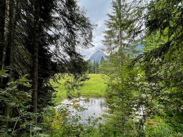 Landschaft Leutasch, Ansicht 2
