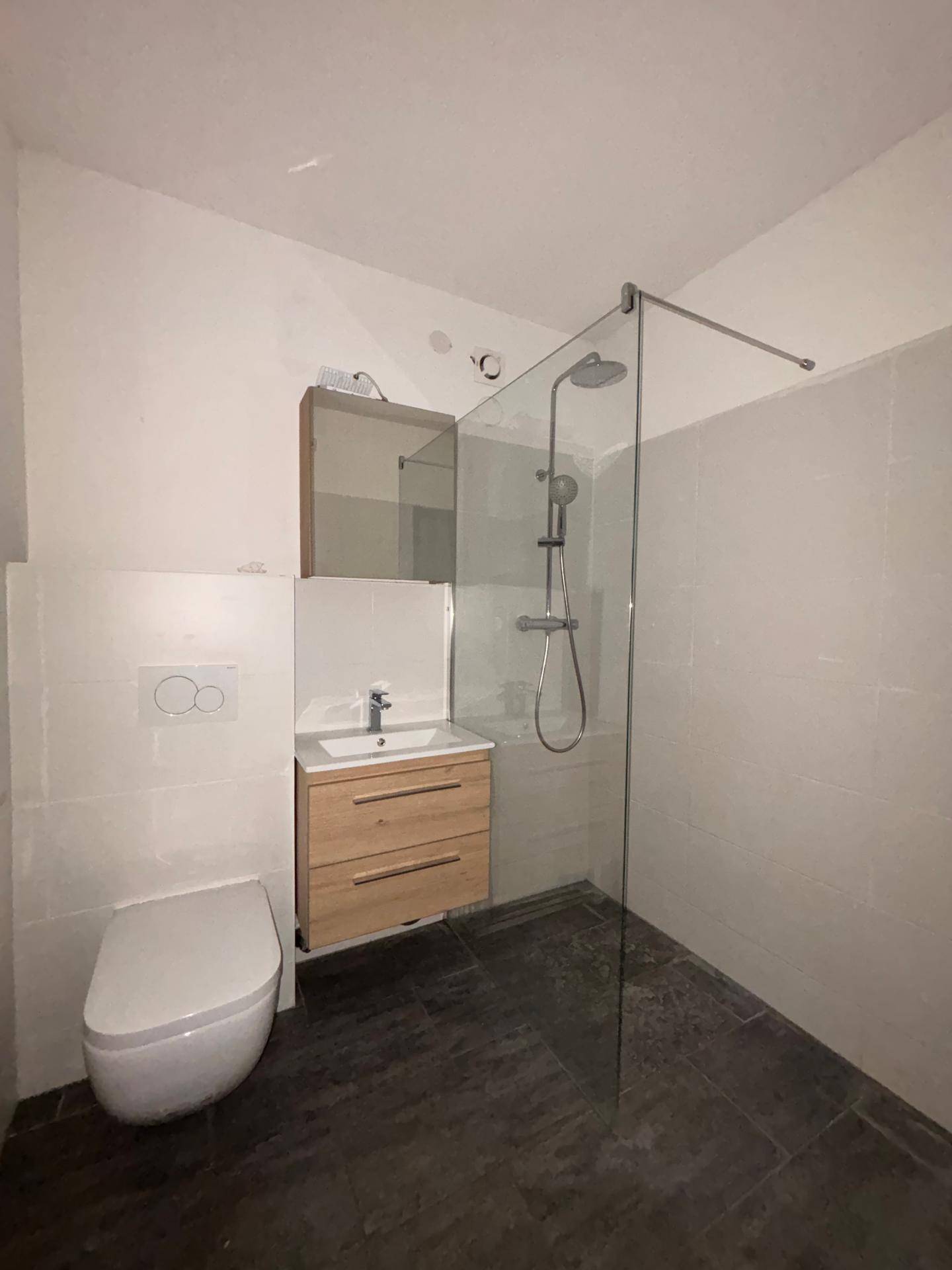 Modernes Badezimmer mit dunklen Fliesen, wandhängendem WC und einer begehbaren Dusche.