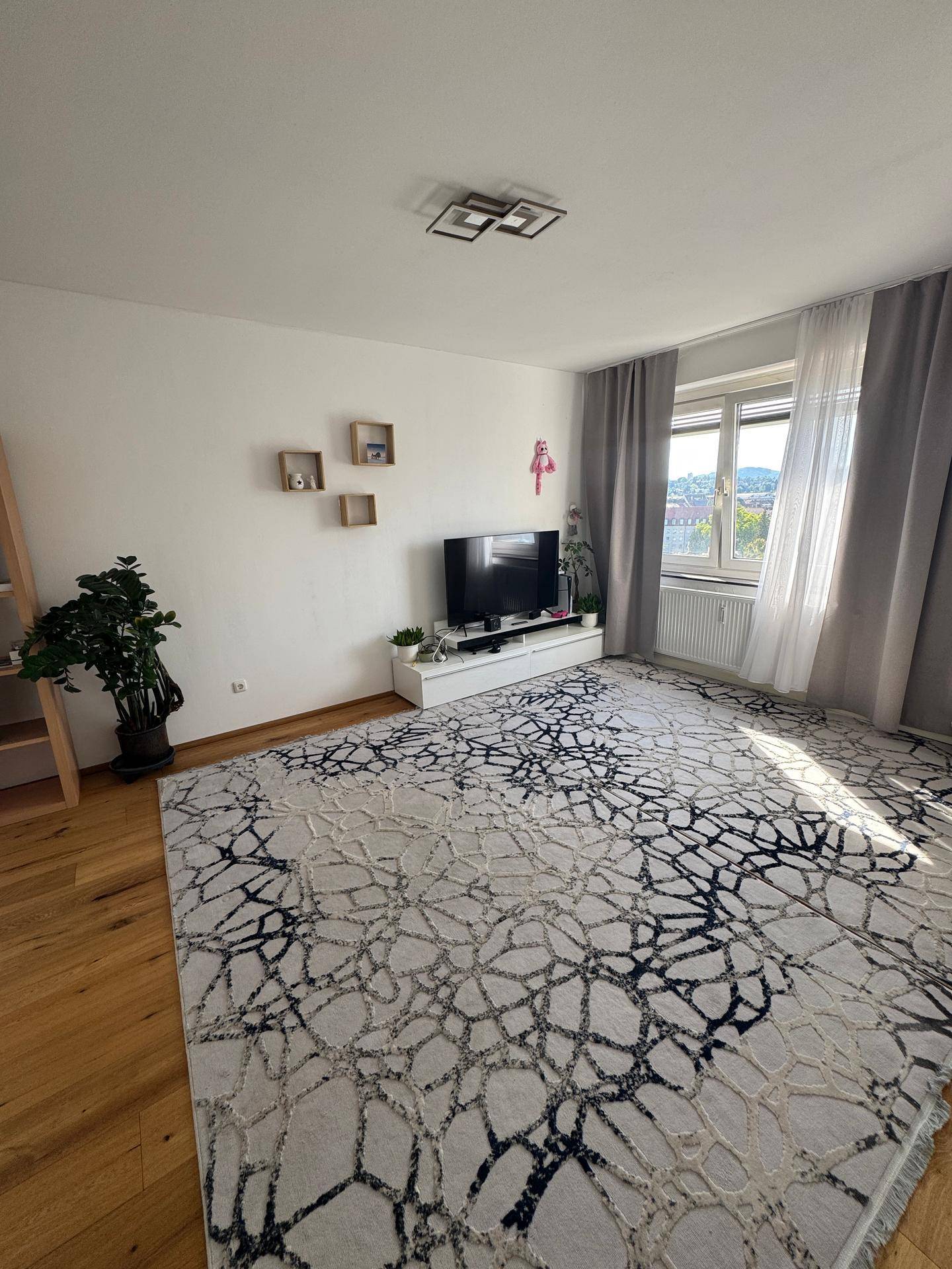Geräumiges Wohnzimmer mit großem Teppich, TV-Bereich und viel Tageslicht.