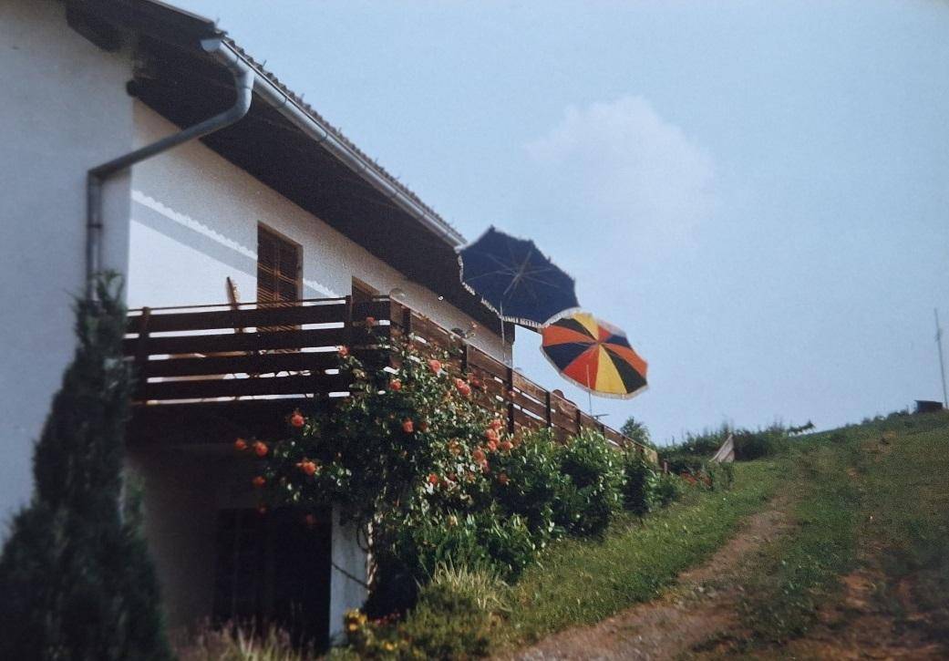 Slide 6