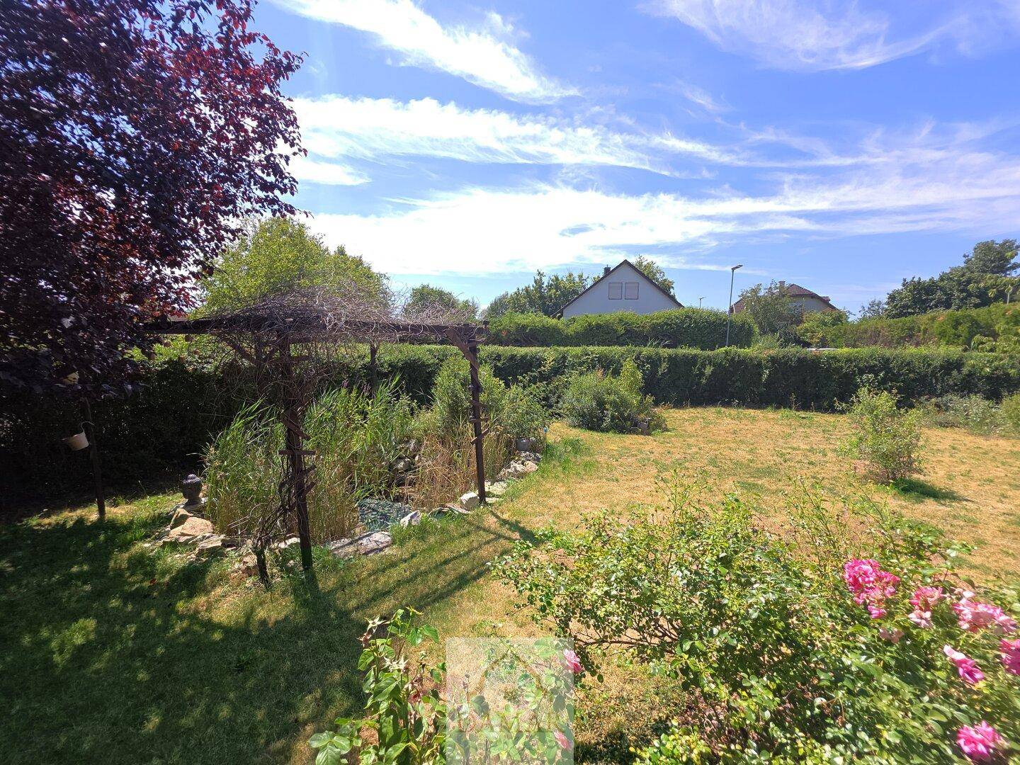 Großer, sonniger Garten mit einer Pergola und einer dichten Hecke im Hintergrund.