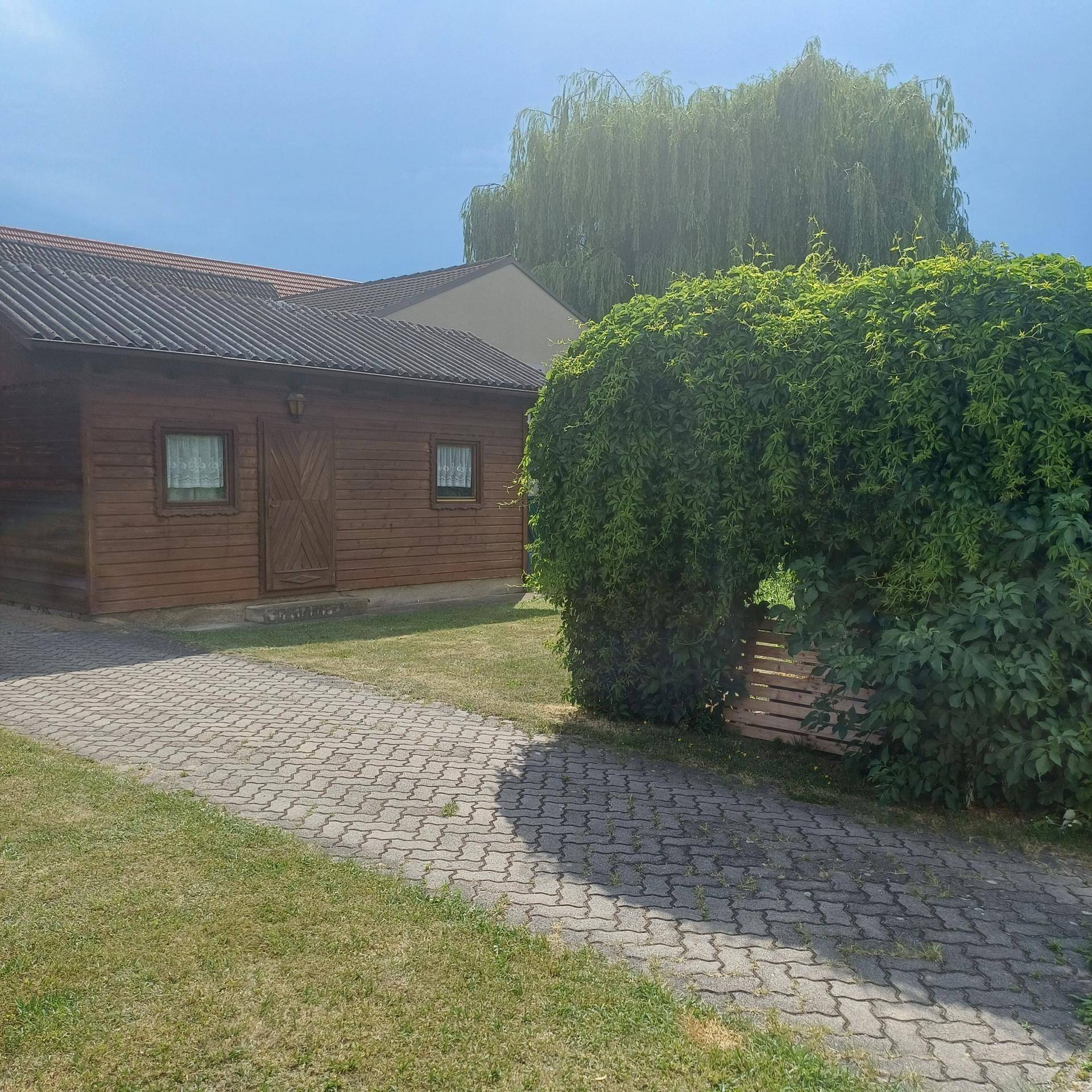 Gartenbereich mit einem Holzschuppen, gepflastertem Weg und üppiger grüner Bepflanzung unter blauem Himmel.