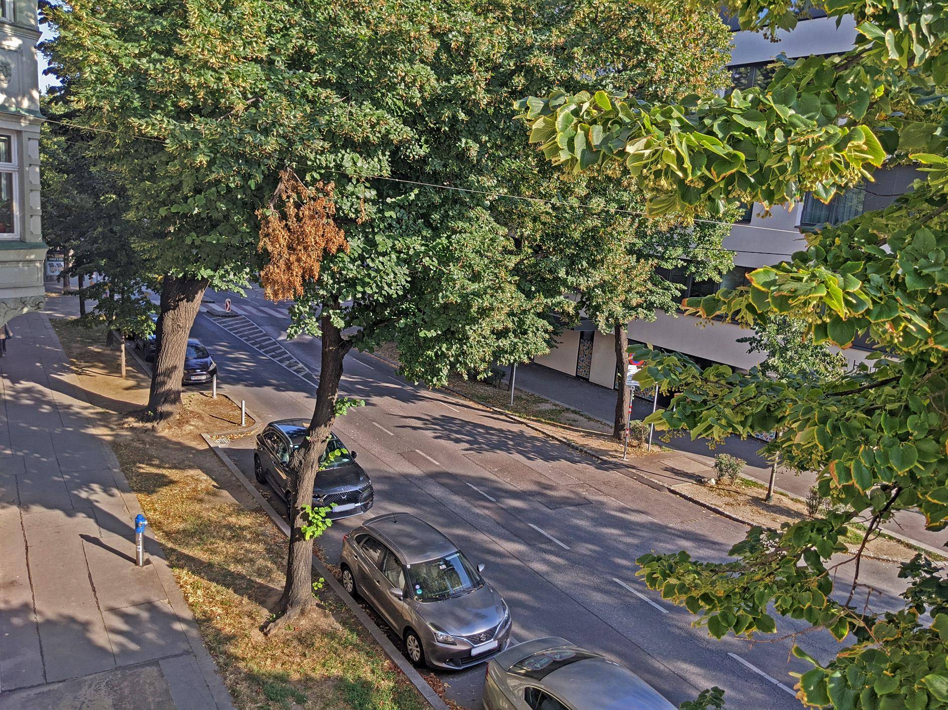 05_Aussicht_PXL_20250814_151907939