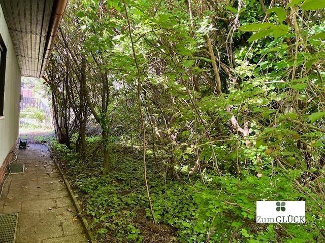 Garten_Hinten_2